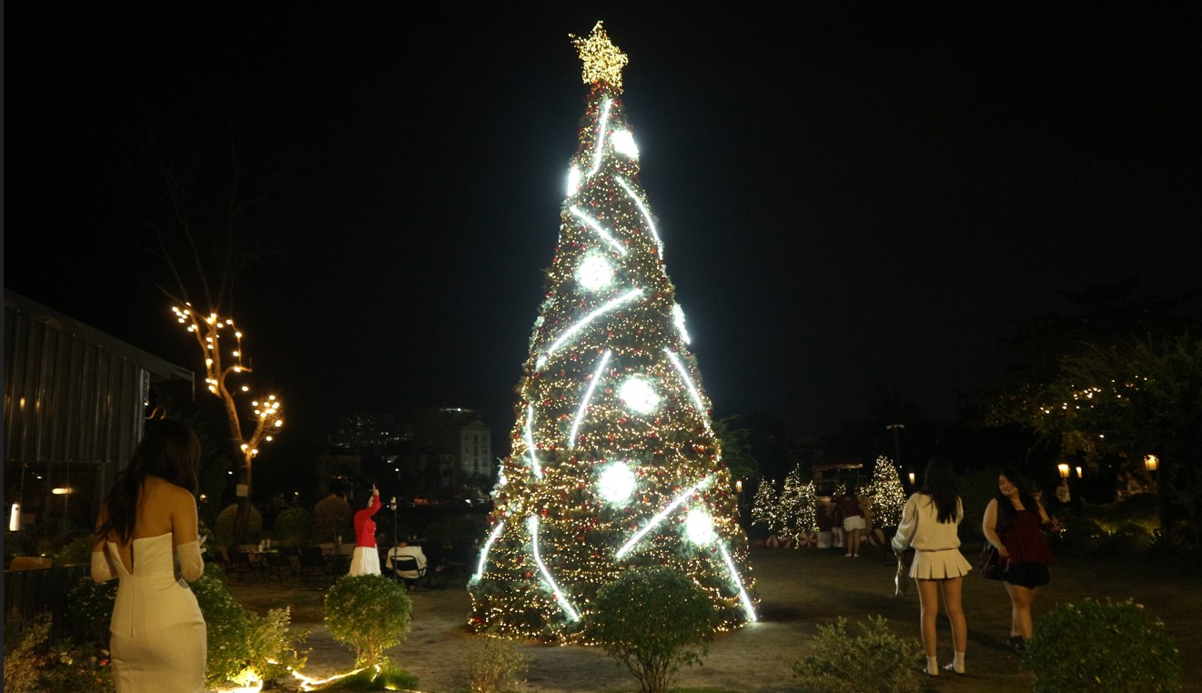 'C&ocirc;ng vi&ecirc;n Noel' với 200 c&acirc;y th&ocirc;ng, c&oacute; c&acirc;y cao hơn 7 m, h&uacute;t kh&aacute;ch  - Ảnh 11.