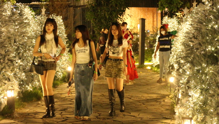 'C&ocirc;ng vi&ecirc;n Noel' với 200 c&acirc;y th&ocirc;ng, c&oacute; c&acirc;y cao hơn 7 m, h&uacute;t kh&aacute;ch  - Ảnh 13.