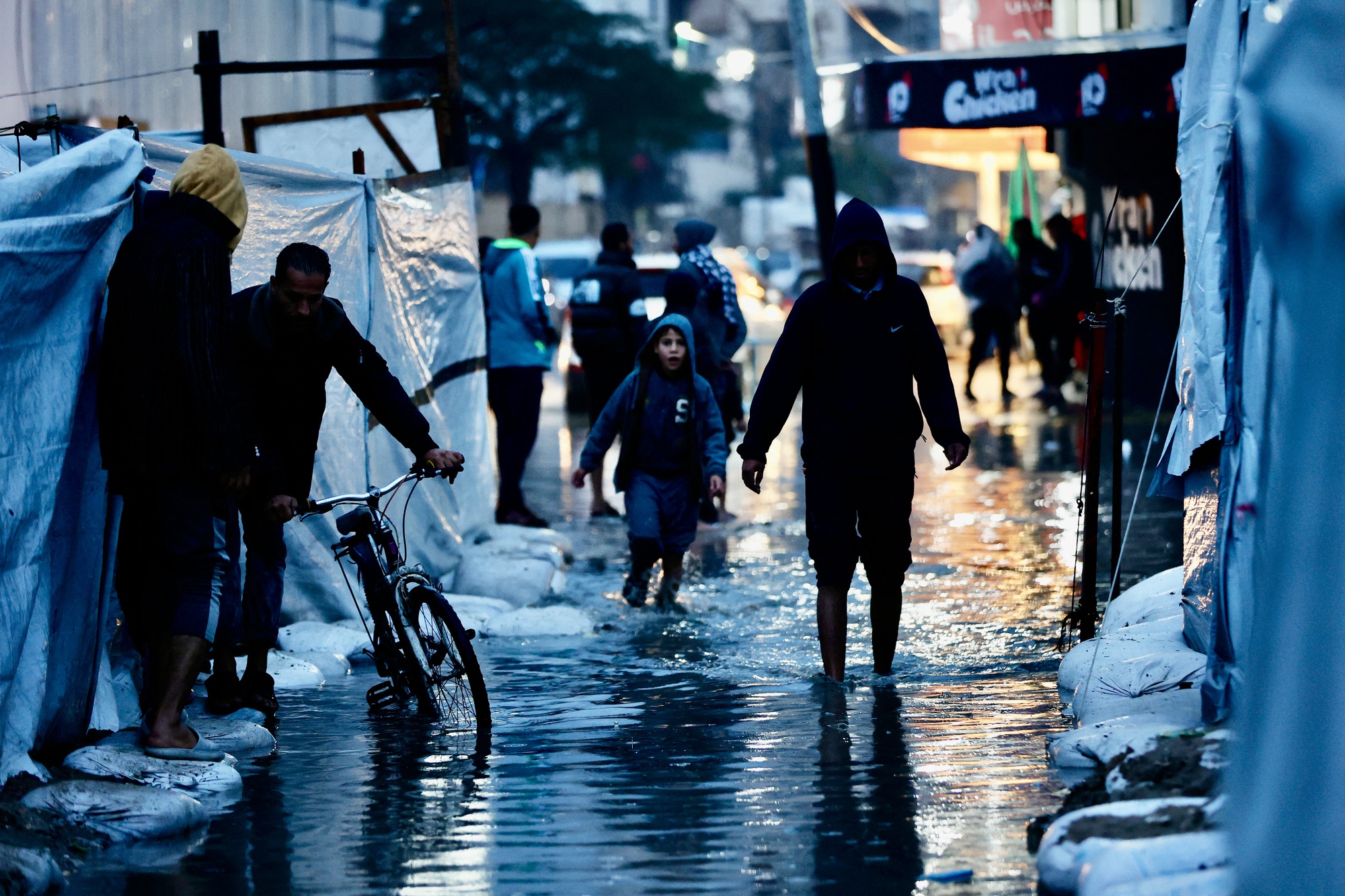 - Ảnh 1. - Ảnh 1.