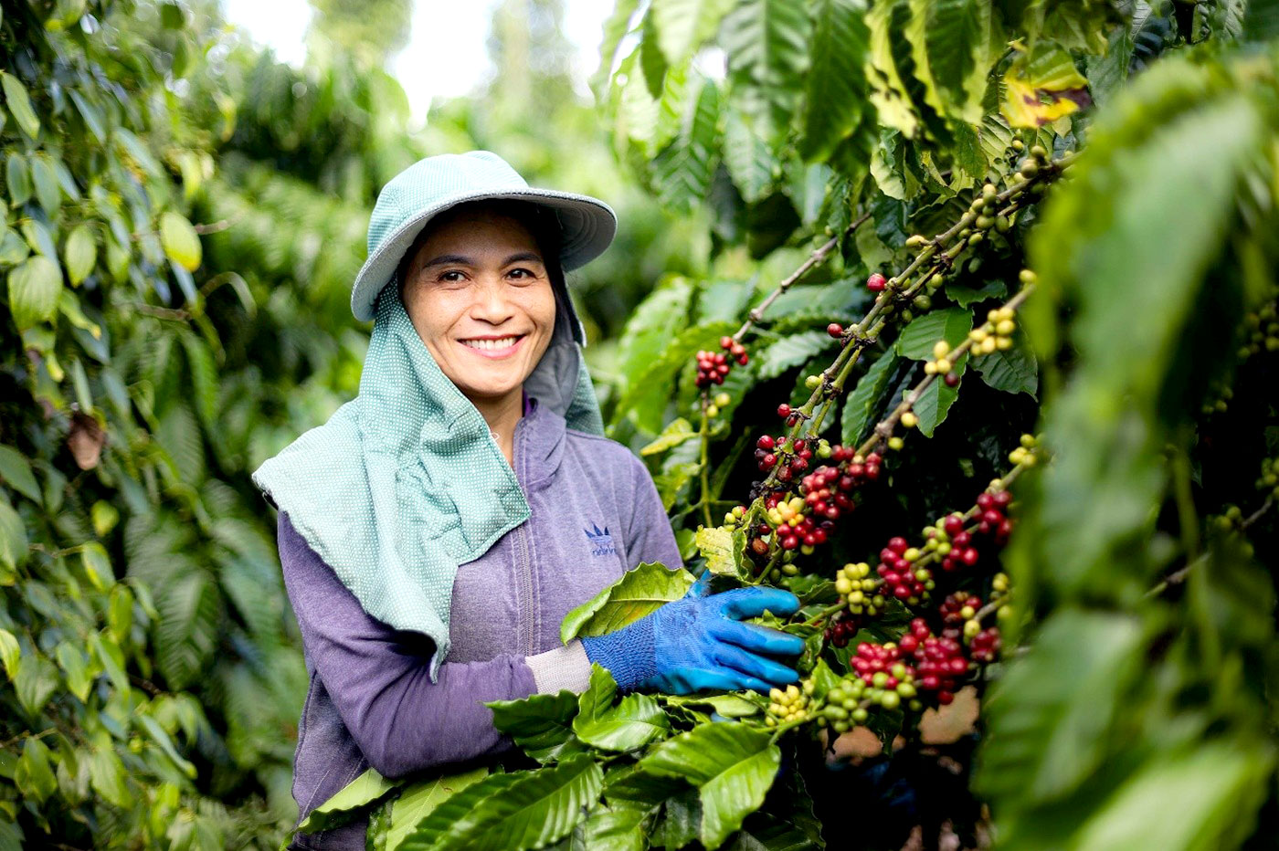 - Ảnh 2. - Ảnh 2.