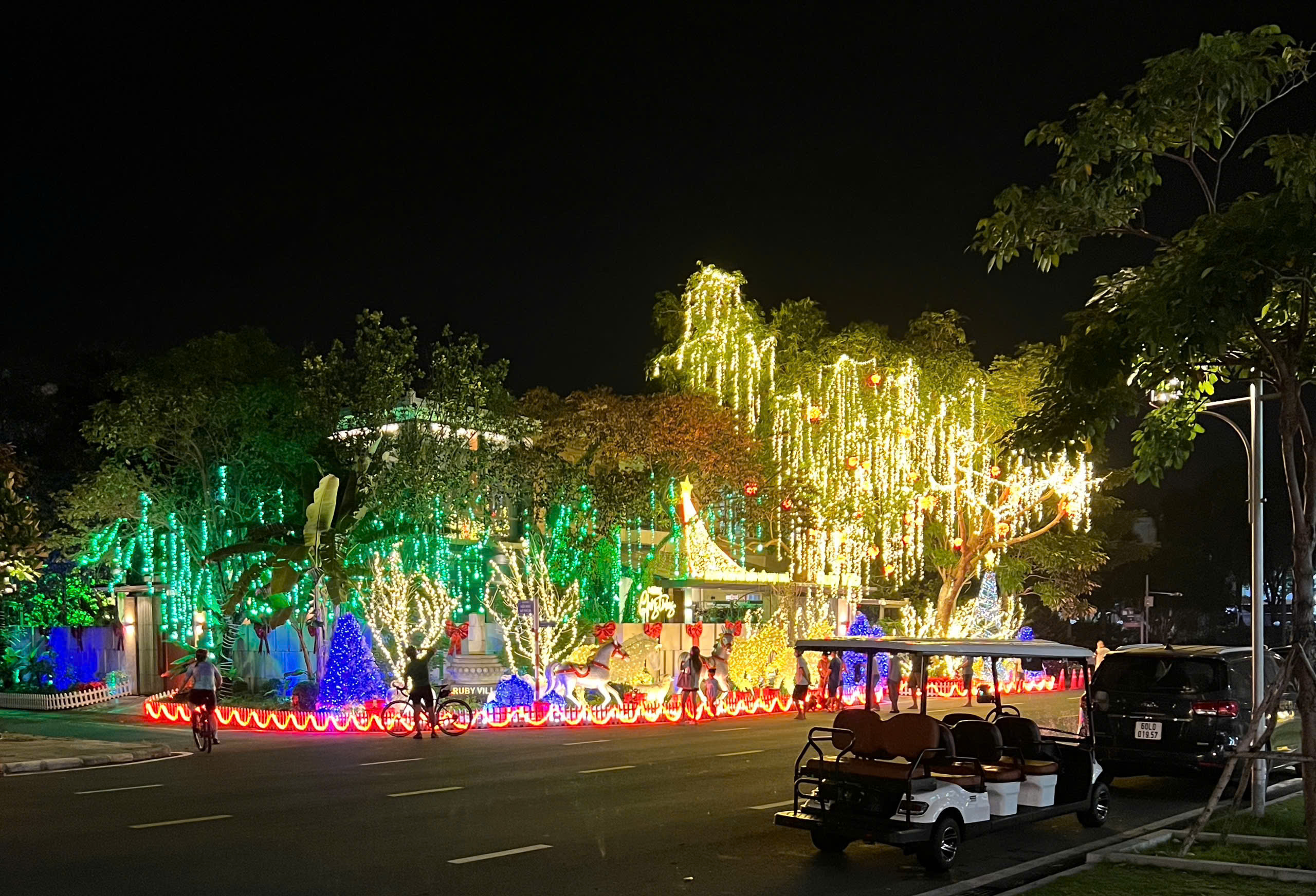 TP.HCM trang hoàng đón năm mới- Ảnh 1.