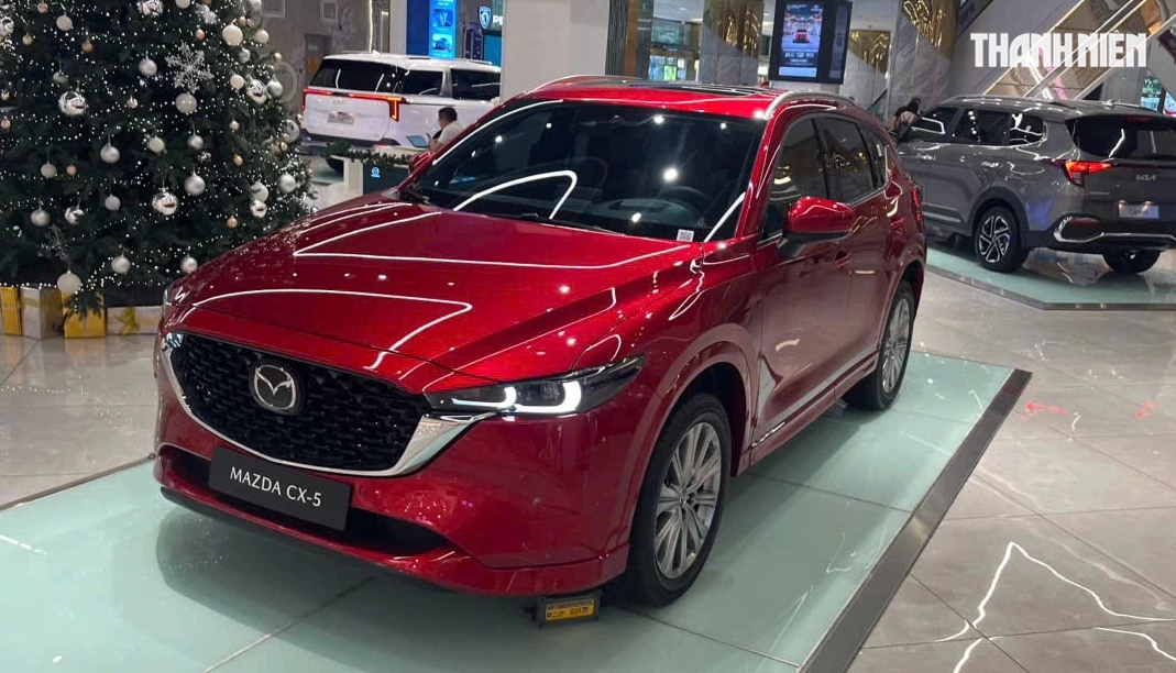 10 ô tô động cơ xăng, dầu bán chạy nhất Việt Nam tháng 2.2026: Toyota áp đảo - Ảnh 2.