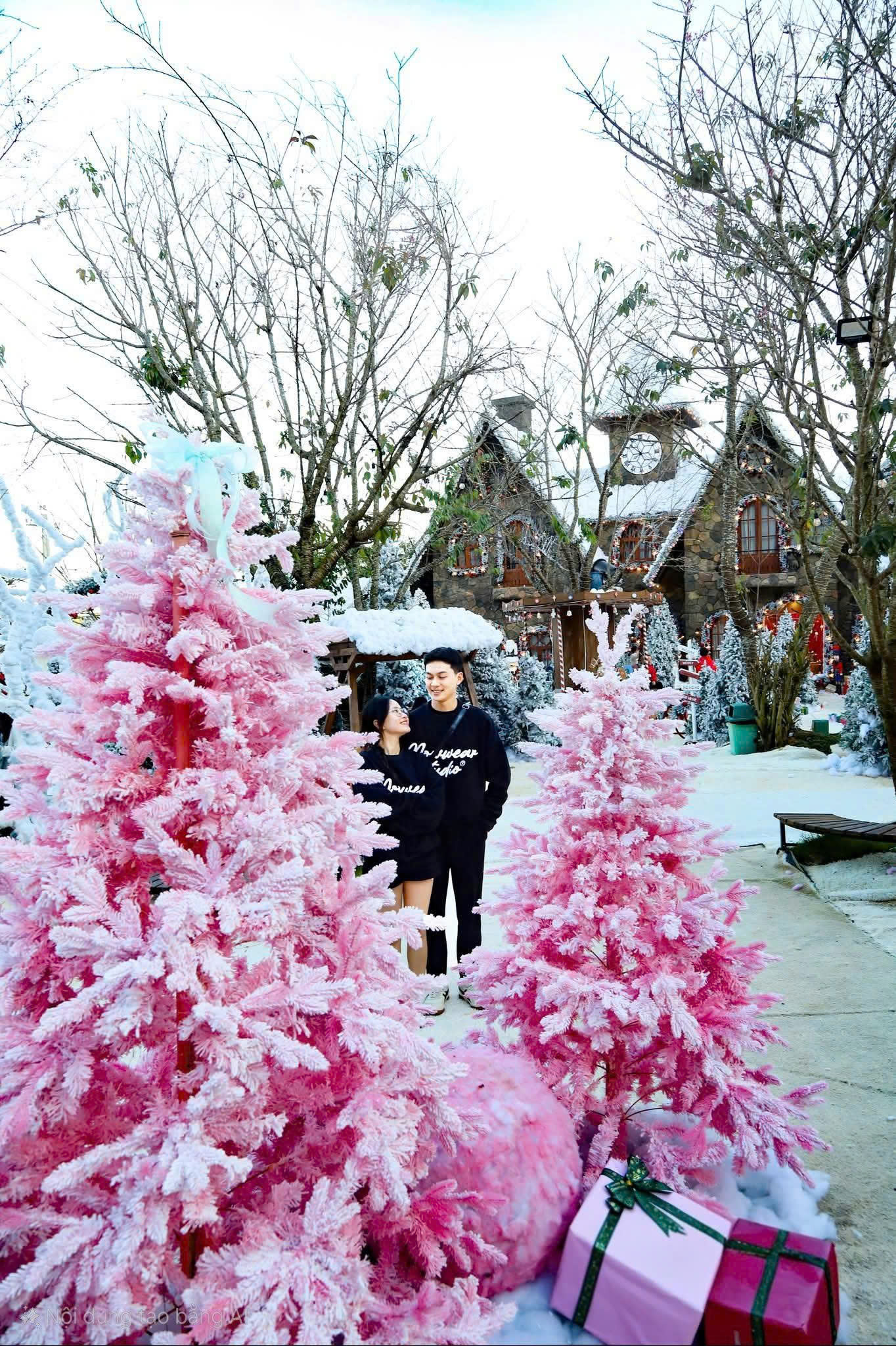 Khám phá Làng Tuyết mùa đông giữa phố núi Đà Lạt- Ảnh 5. Khám phá Làng Tuyết mùa đông giữa phố núi Đà Lạt- Ảnh 5.