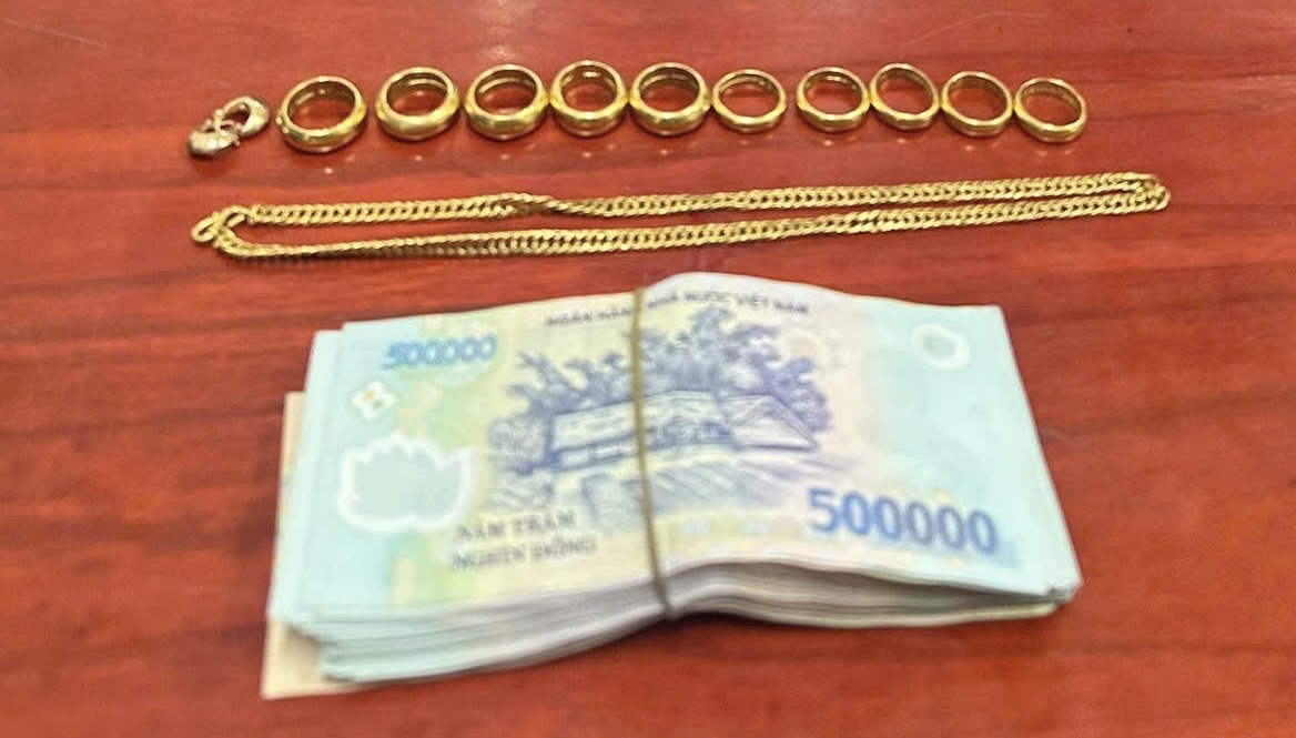 Truy bắt cặp vợ chồng trộm cắp liên tỉnh lẩn trốn trong nhà nghỉ- Ảnh 2.