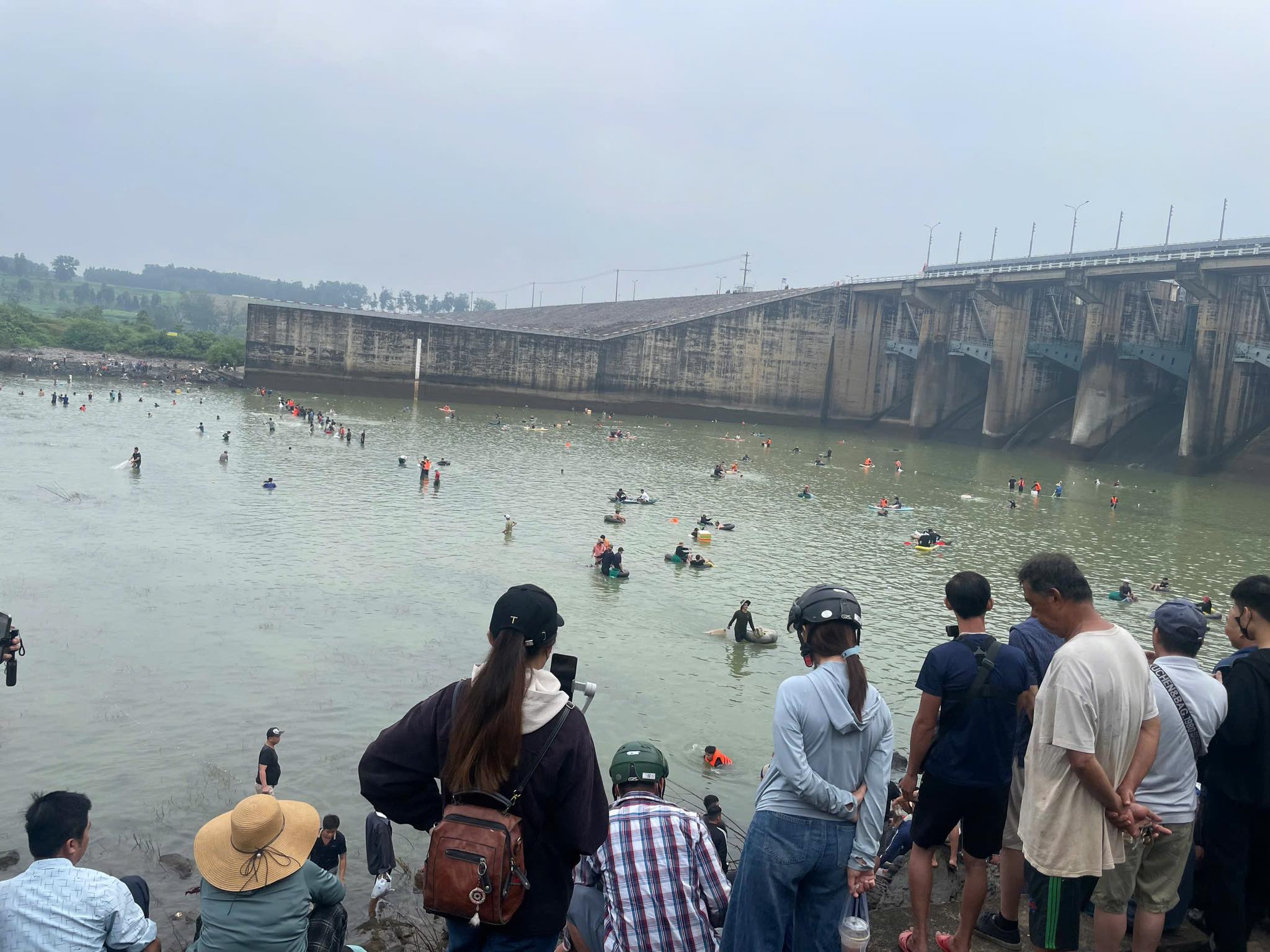 Cá ‘khủng’ sa lưới hàng loạt khi Thủy điện Trị An ngừng xả lũ - Ảnh 2.
