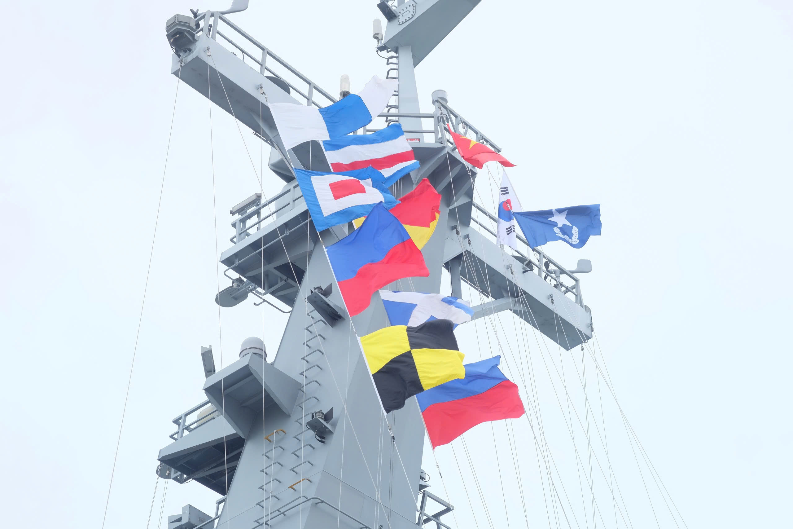 - Zdjęcie 7. - Ảnh 7.