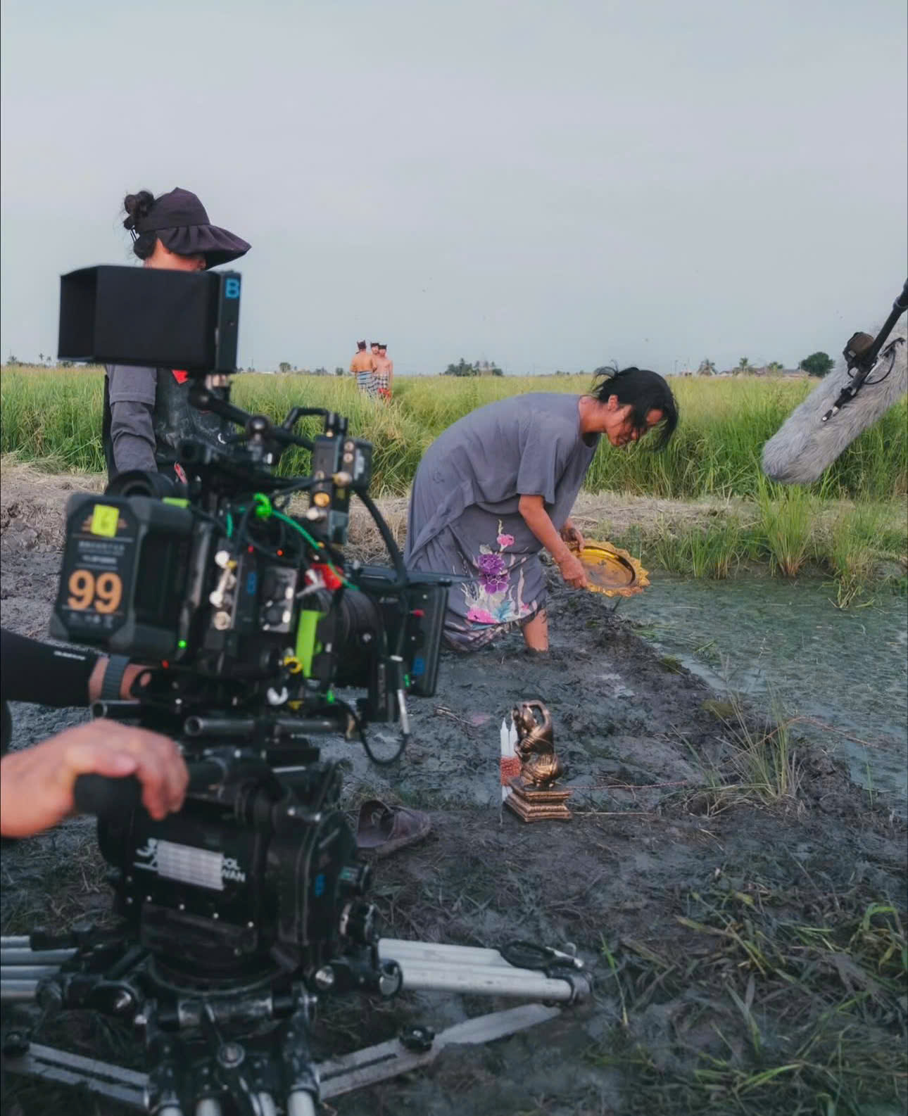 Tên Phạm Băng Băng bị xóa khỏi danh sách diễn viên phim truyền hình Trung Quốc - Ảnh 1.