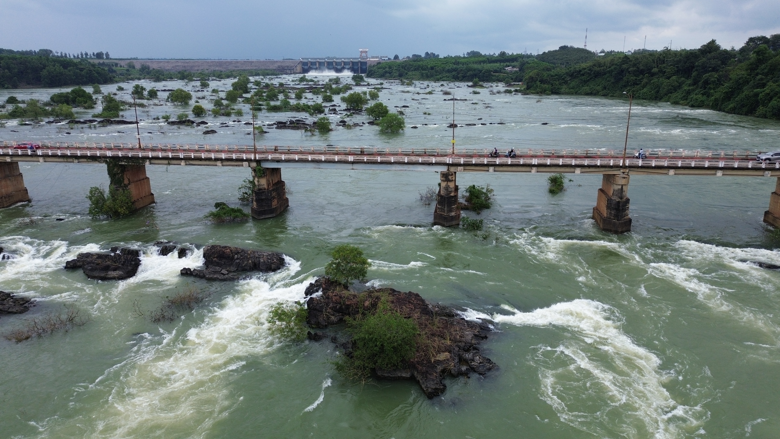 Cá ‘khủng’ sa lưới hàng loạt khi Thủy điện Trị An ngừng xả lũ - Ảnh 8.