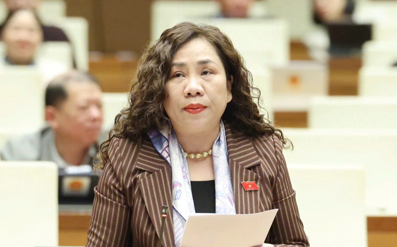 Đại biểu lo thách thức dân số 'già trước khi kịp giàu'- Ảnh 2.