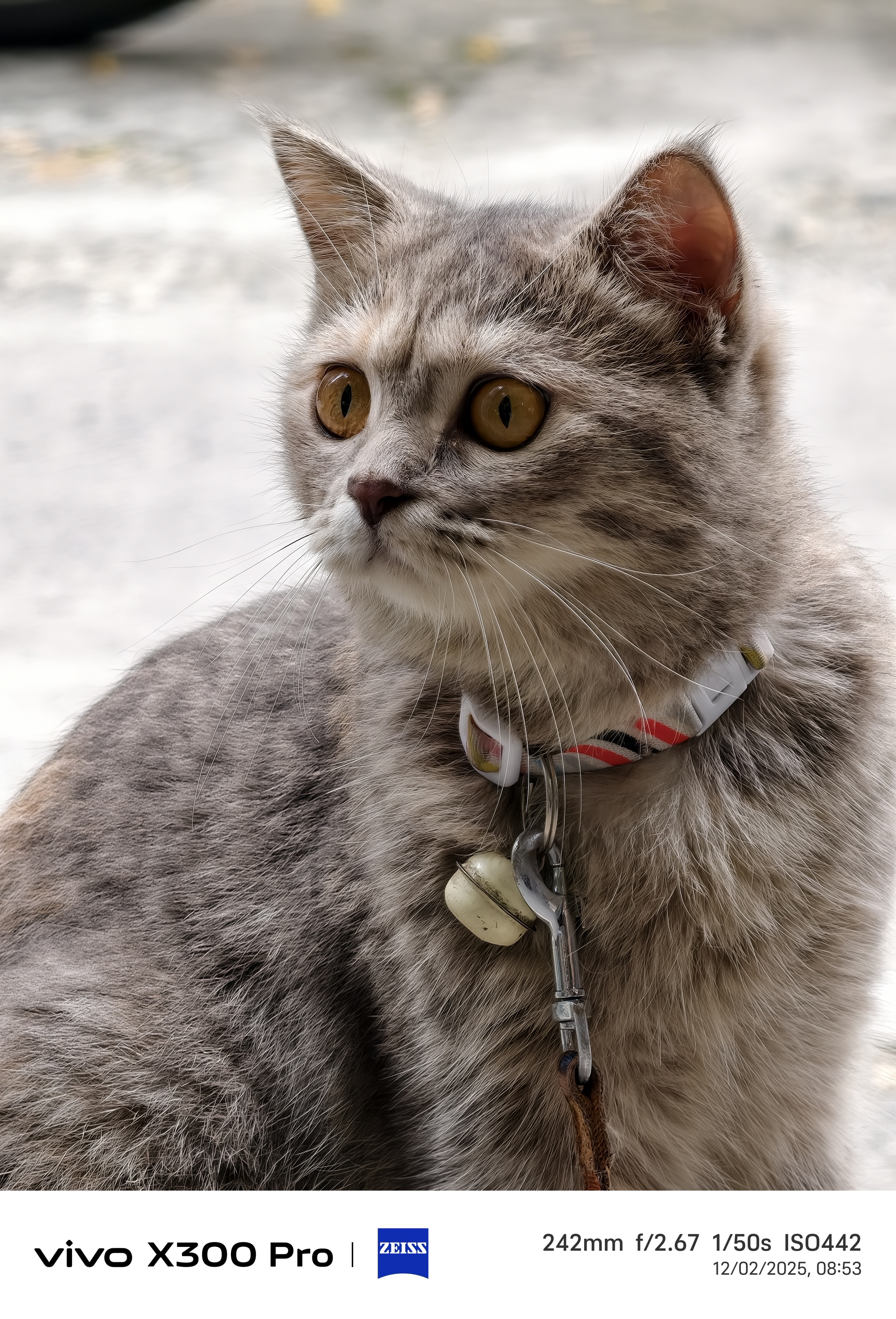 Trải nghiệm vivo X300 Pro: nhiếp ảnh chuyên nghiệp cho người đam mê sáng tạo - Ảnh 37.