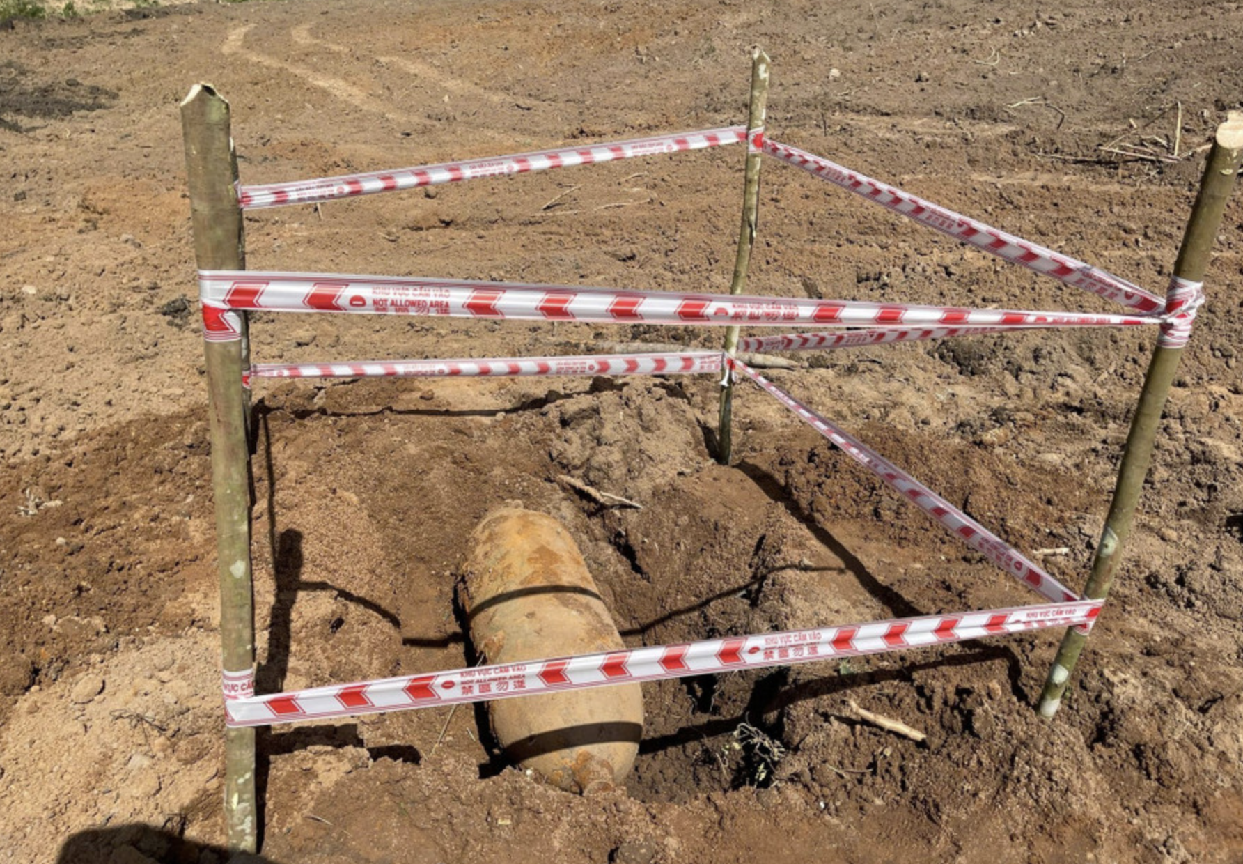 Dọn vườn trồng mía, phát hiện quả bom 'khủng'- Ảnh 1.