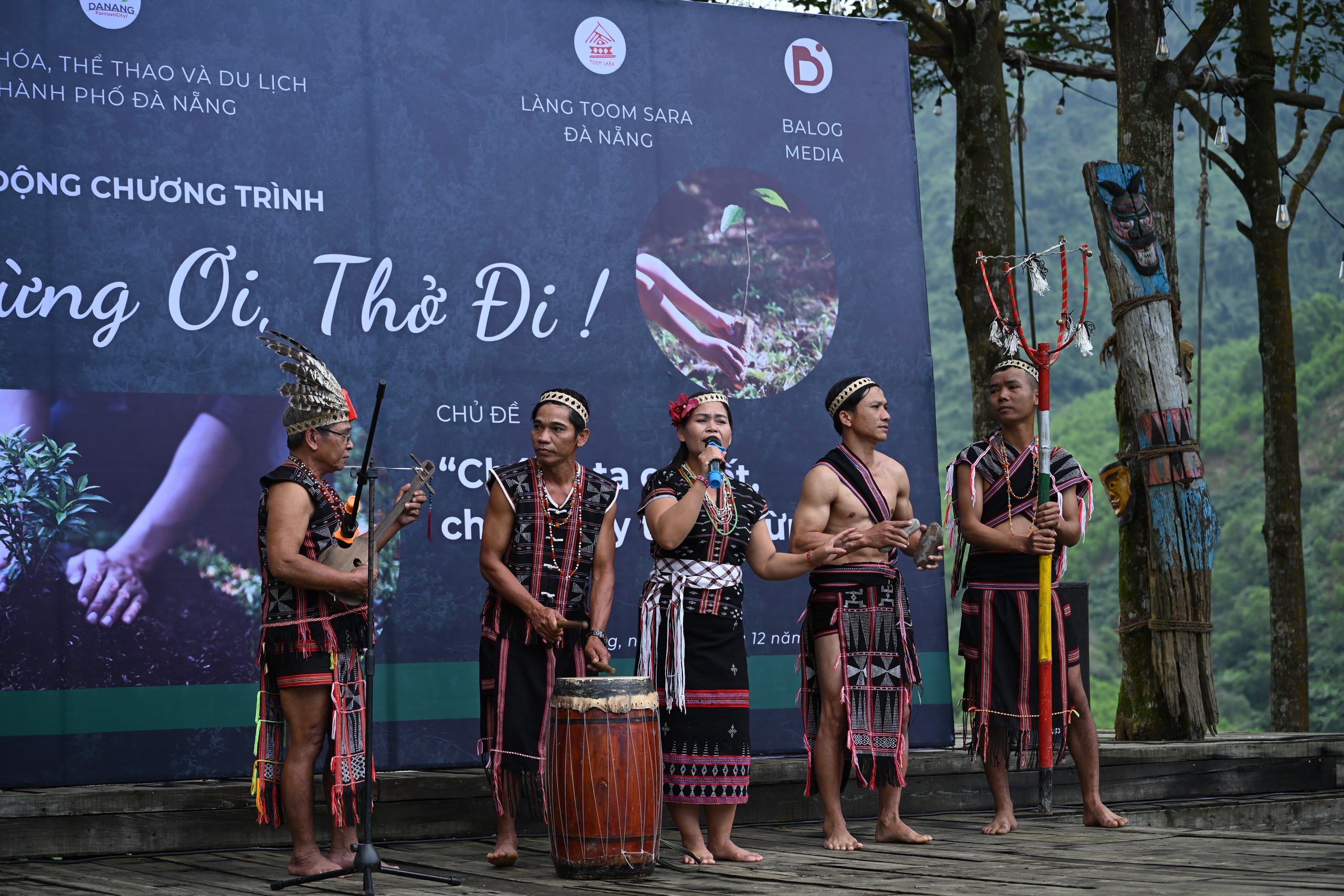 Thú vị du lịch trải nghiệm 'Rừng ơi, thở đi!' ở Đà Nẵng- Ảnh 2.