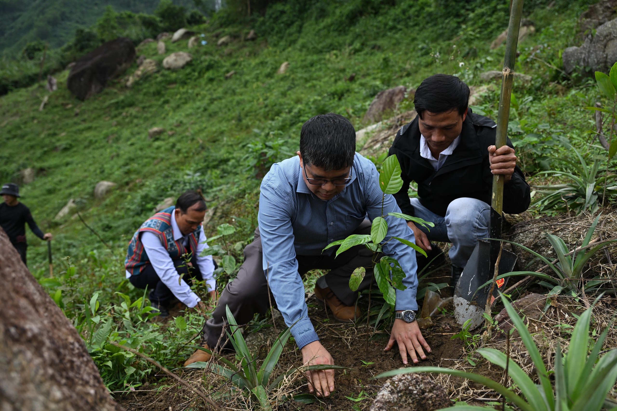 Thú vị du lịch trải nghiệm 'Rừng ơi, thở đi!' ở Đà Nẵng- Ảnh 1.