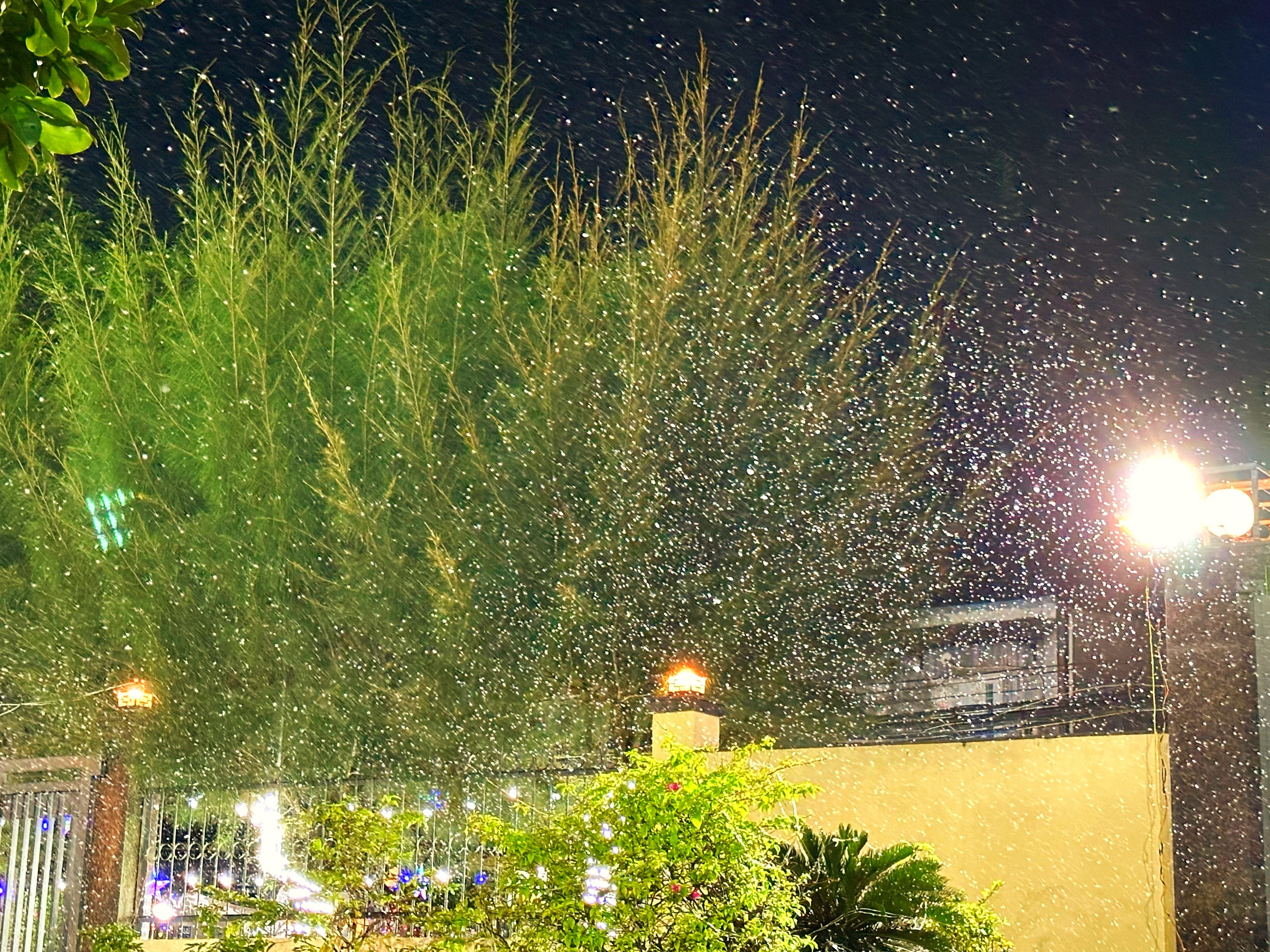 X&oacute;m đạo lớn nhất TP.HCM: Nh&agrave; thờ 'tuyết rơi' trắng x&oacute;a, rất đ&ocirc;ng người check-in Gi&aacute;ng sinh - Ảnh 9.