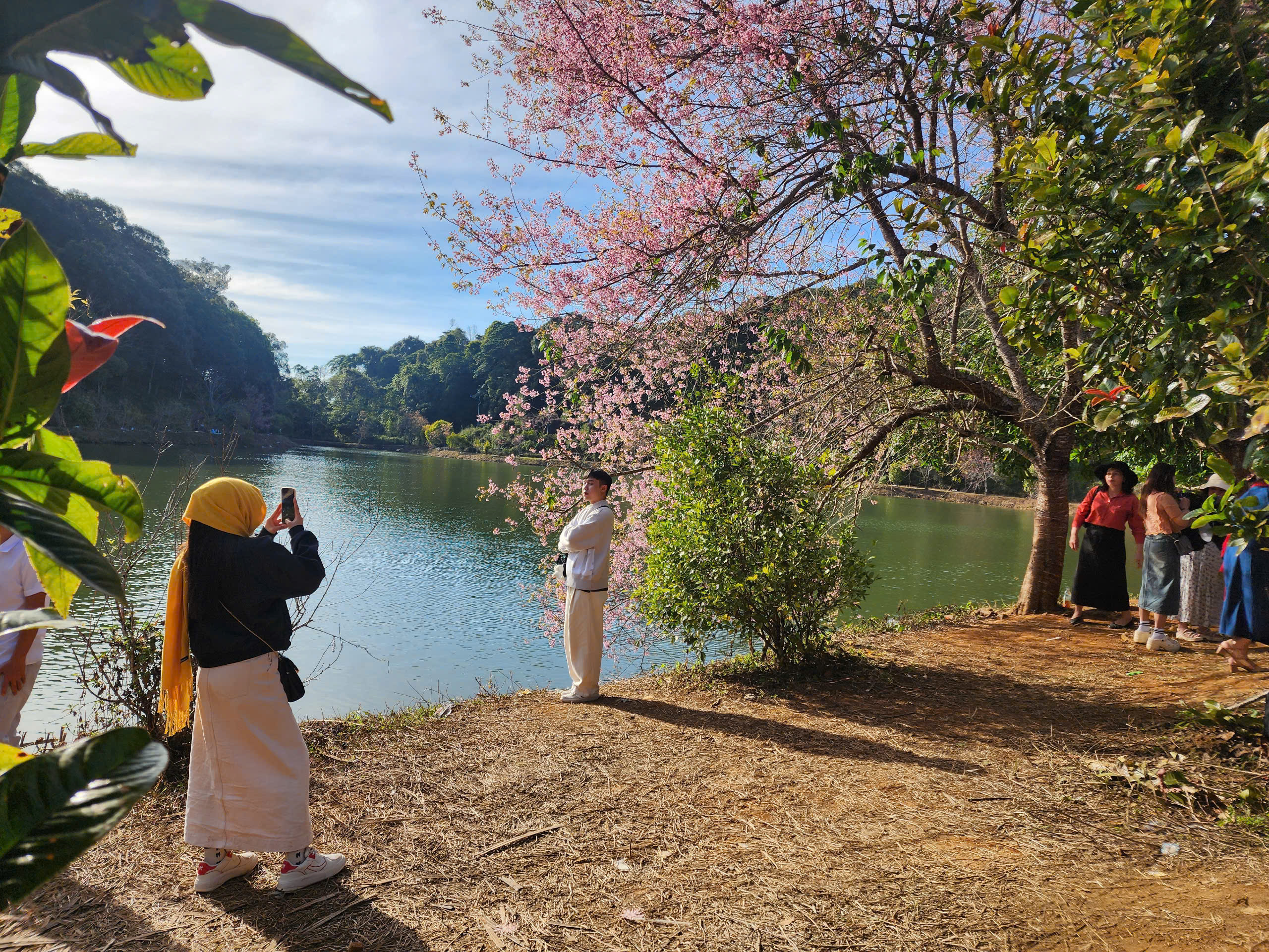 Doanh thu du lịch Quảng Ngãi ước đạt 3.700 tỉ đồng trong năm 2025- Ảnh 1. Doanh thu du lịch Quảng Ngãi ước đạt 3.700 tỉ đồng trong năm 2025- Ảnh 1.