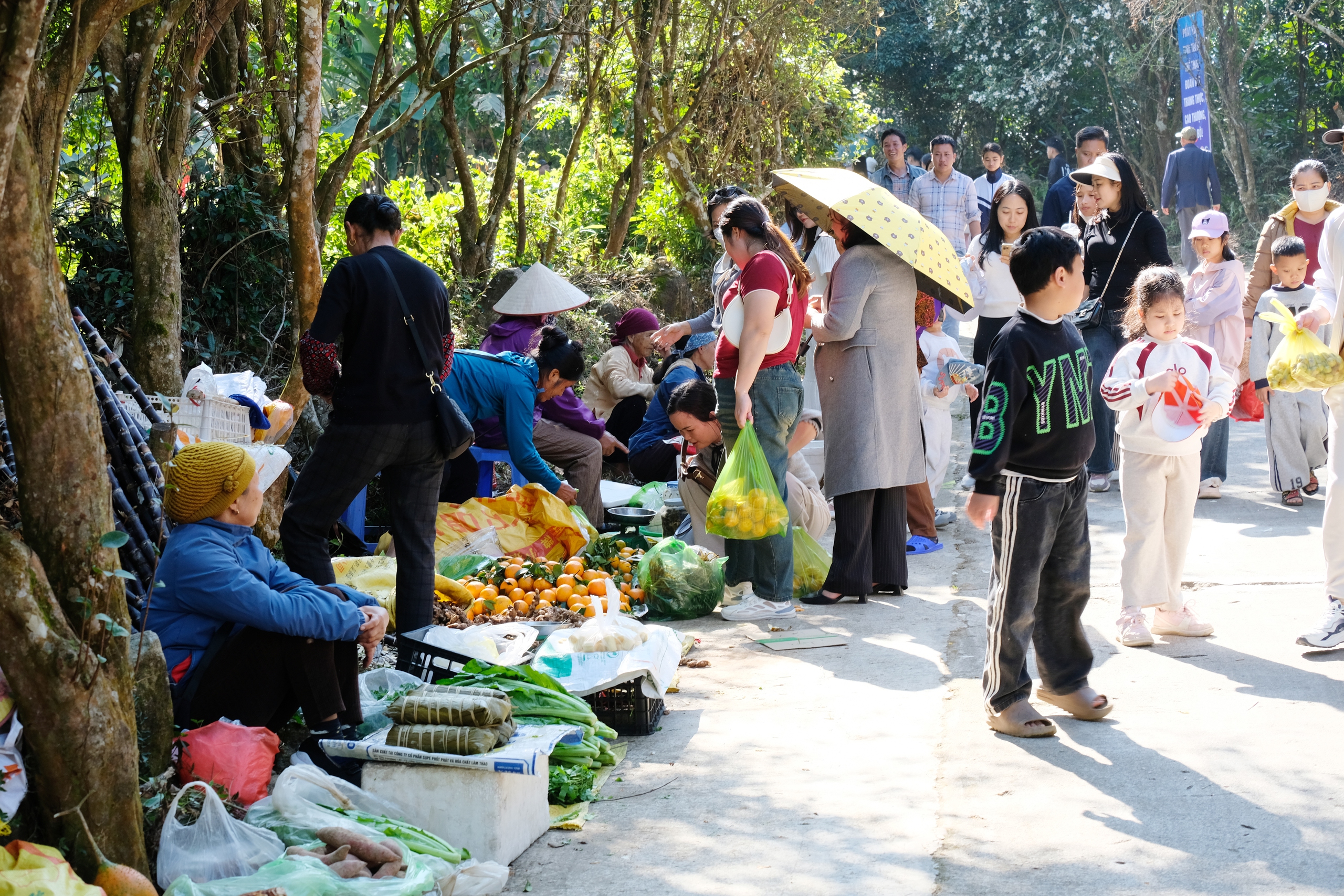 B&igrave;nh Li&ecirc;u m&ugrave;a hoa sở gọi bước du kh&aacute;ch- Ảnh 13.