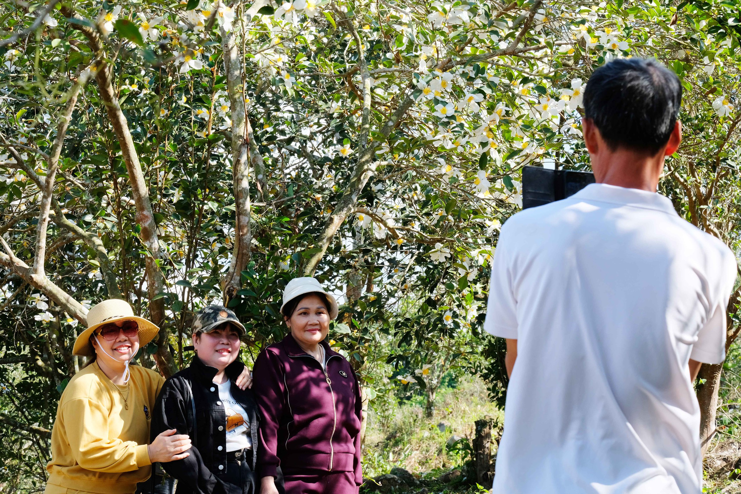 Bình Liêu mùa hoa sở gọi bước du khách- Ảnh 7.