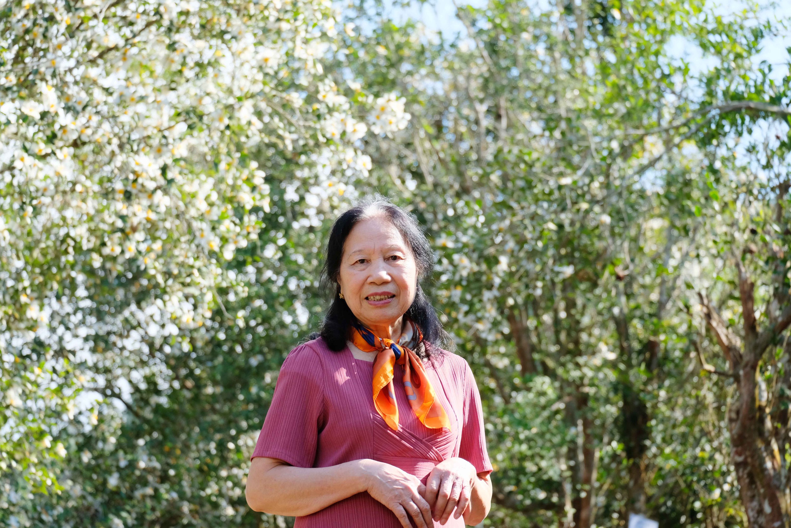 B&igrave;nh Li&ecirc;u m&ugrave;a hoa sở gọi bước du kh&aacute;ch- Ảnh 8.