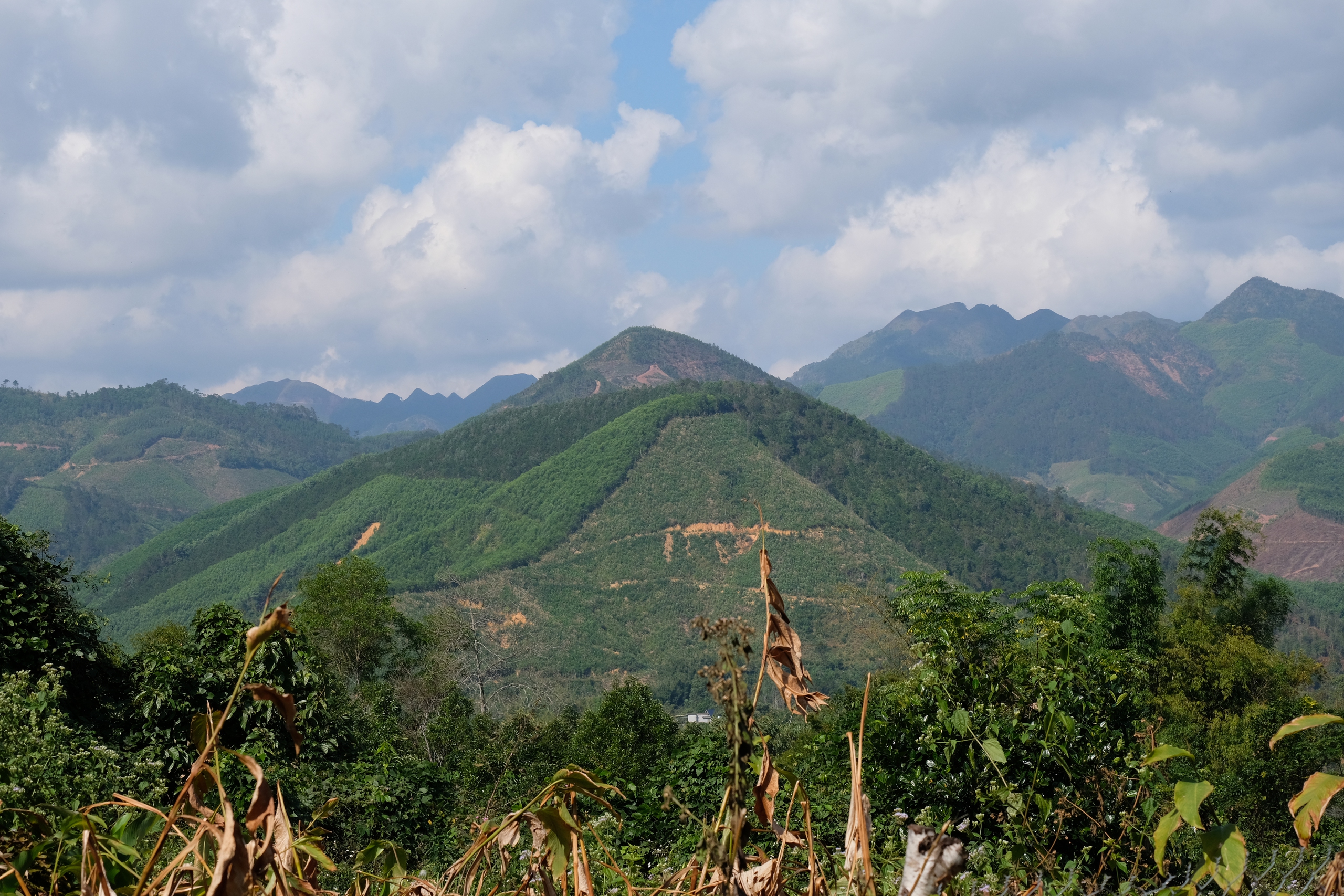 B&igrave;nh Li&ecirc;u m&ugrave;a hoa sở gọi bước du kh&aacute;ch- Ảnh 12.