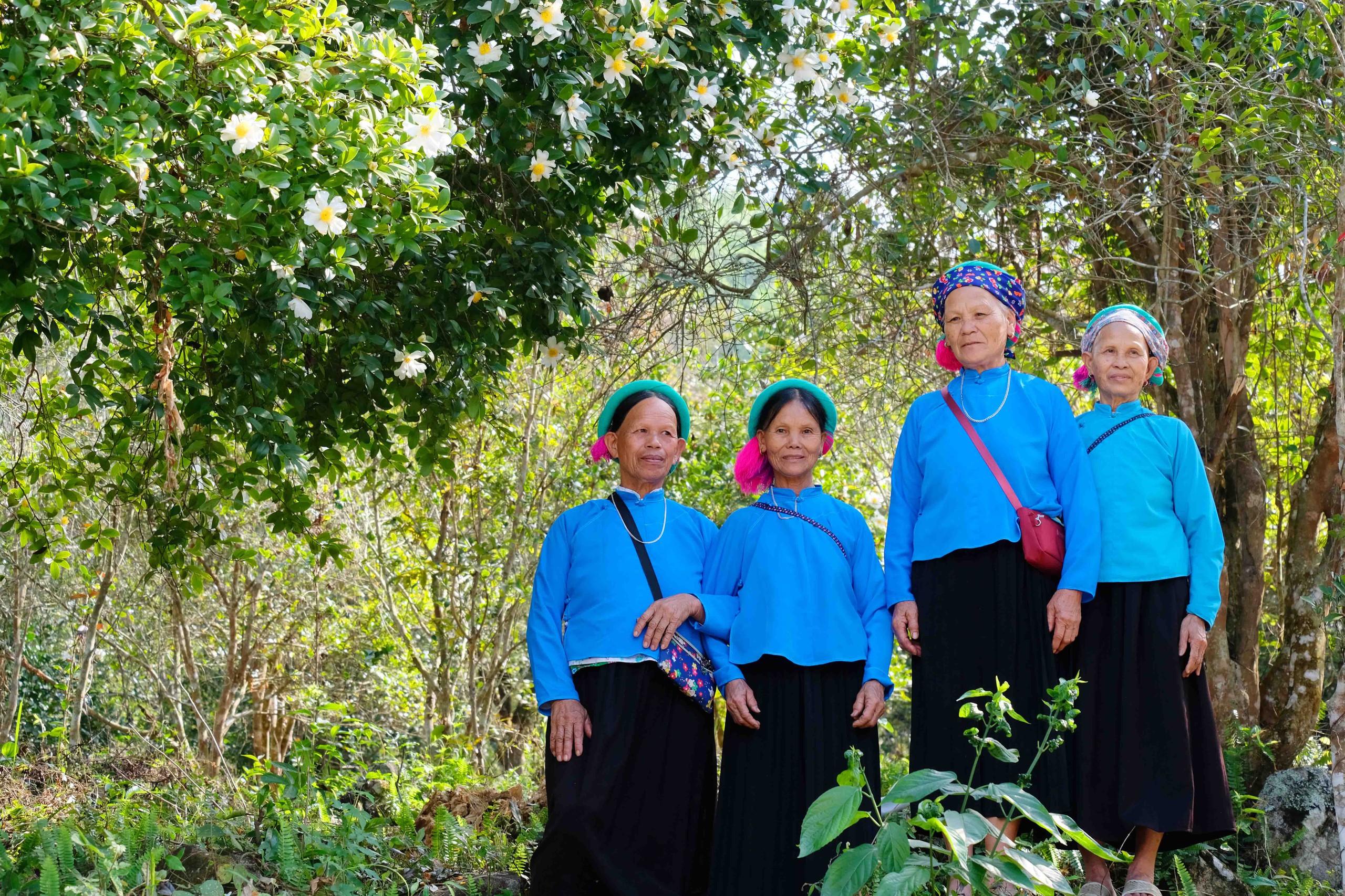 B&igrave;nh Li&ecirc;u m&ugrave;a hoa sở gọi bước du kh&aacute;ch- Ảnh 3.