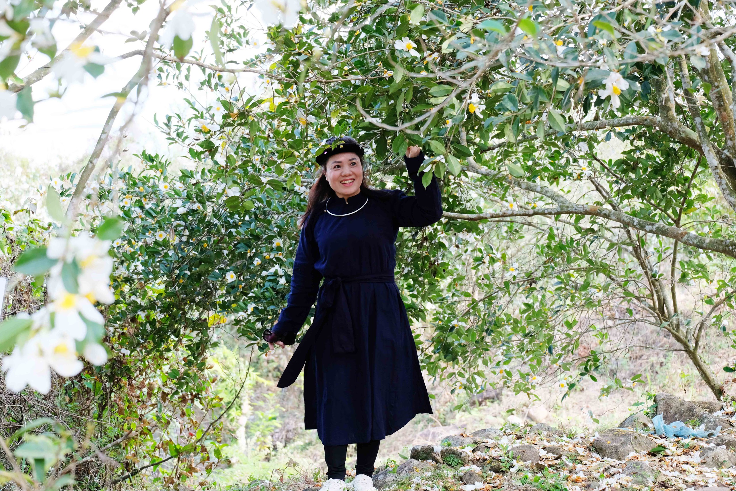 B&igrave;nh Li&ecirc;u m&ugrave;a hoa sở gọi bước du kh&aacute;ch- Ảnh 4.