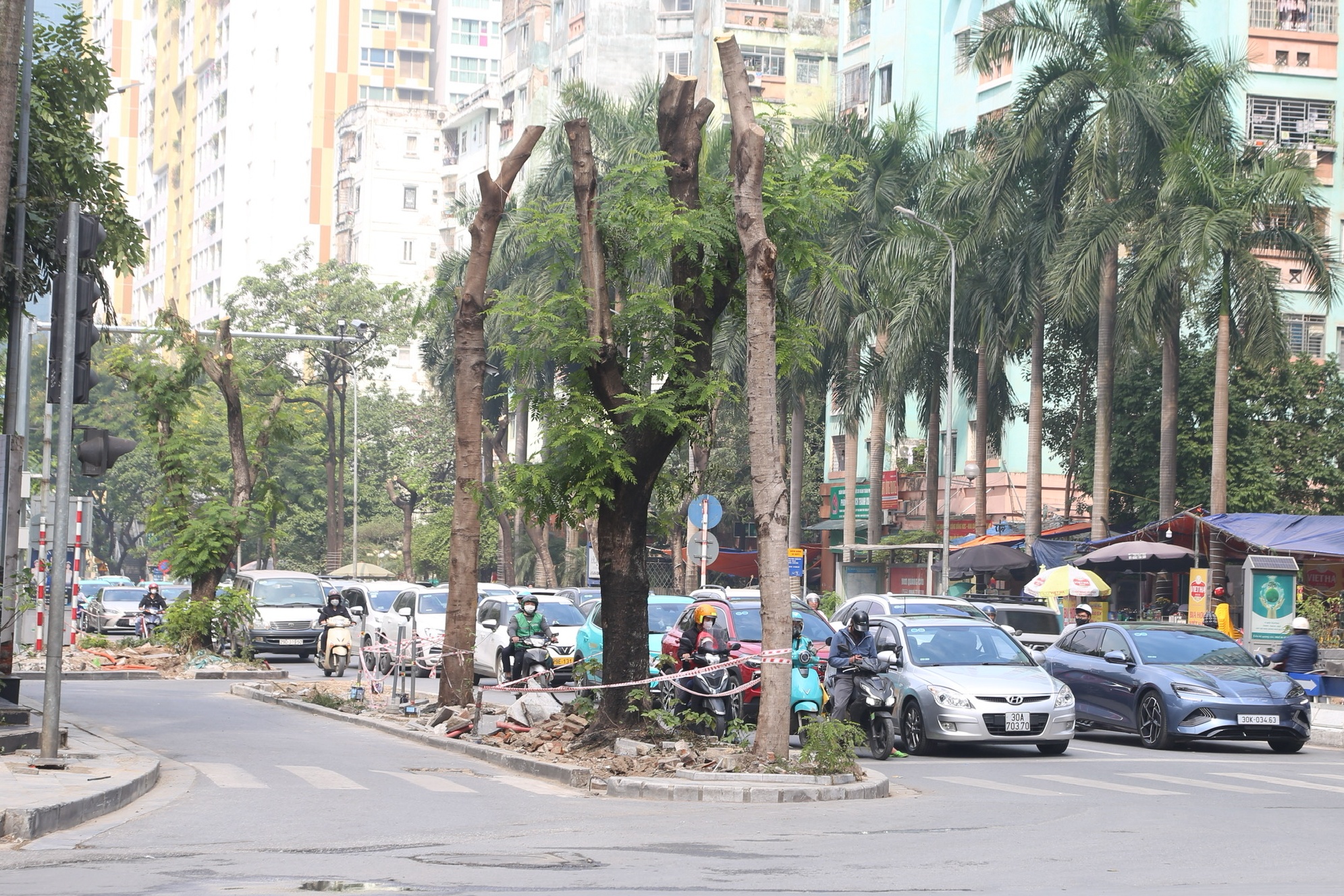 Hà Nội chặt hạ cây xanh, 'xén' vỉa hè để giảm ùn tắc - Ảnh 6.