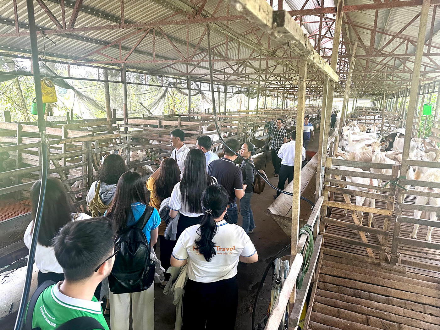 Du lịch Cần Thơ đa dạng mô hình phát triển- Ảnh 2.