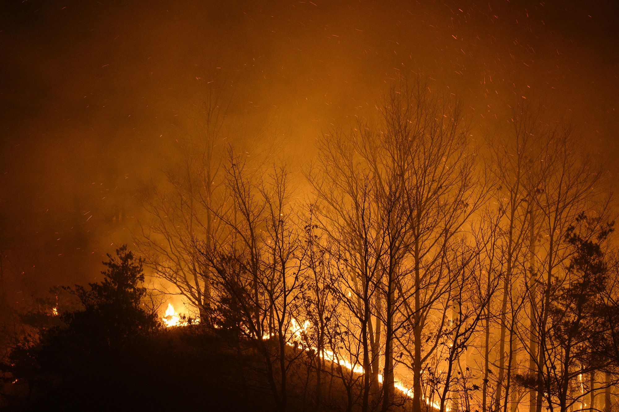 Những trận thi&ecirc;n tai, ch&aacute;y g&acirc;y chết ch&oacute;c ở ch&acirc;u &Aacute; năm 2025 - Ảnh 12.