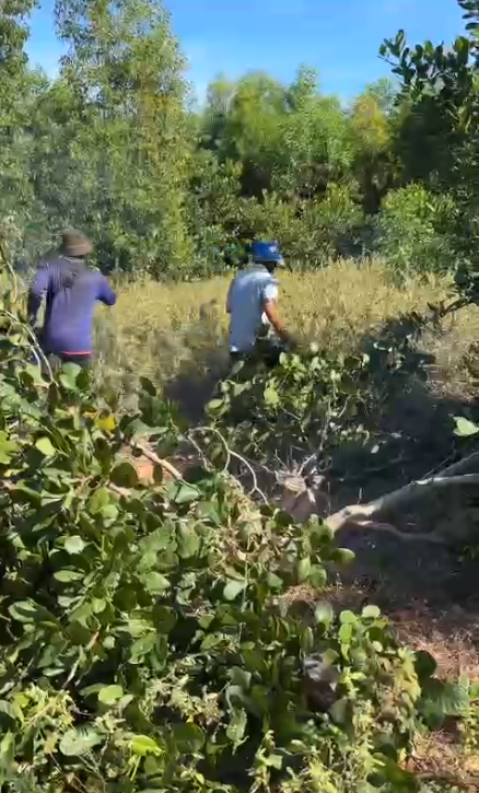 Cưỡng chế thu hồi hơn 3 ha đất rừng bị lấn chiếm tr&aacute;i ph&eacute;p ở Mũi N&eacute; - Ảnh 3.