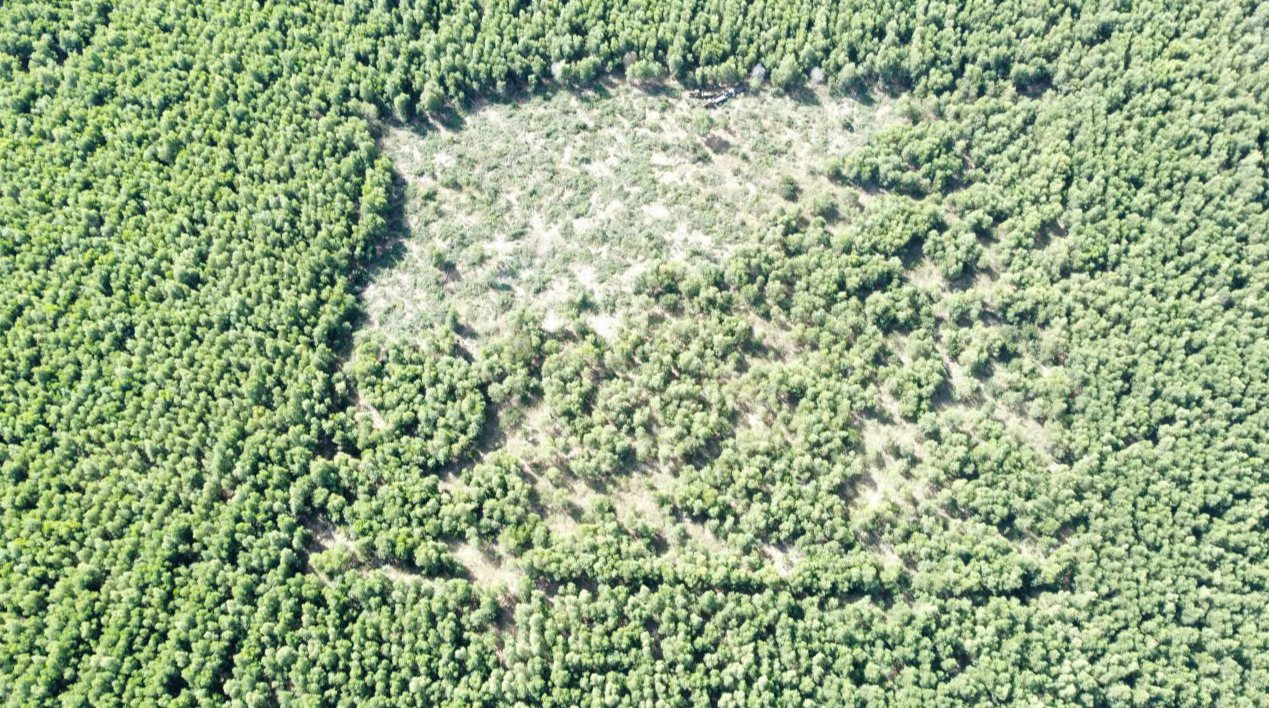 Cưỡng chế thu hồi hơn 3 ha đất rừng bị lấn chiếm trái phép ở Mũi Né - Ảnh 2.