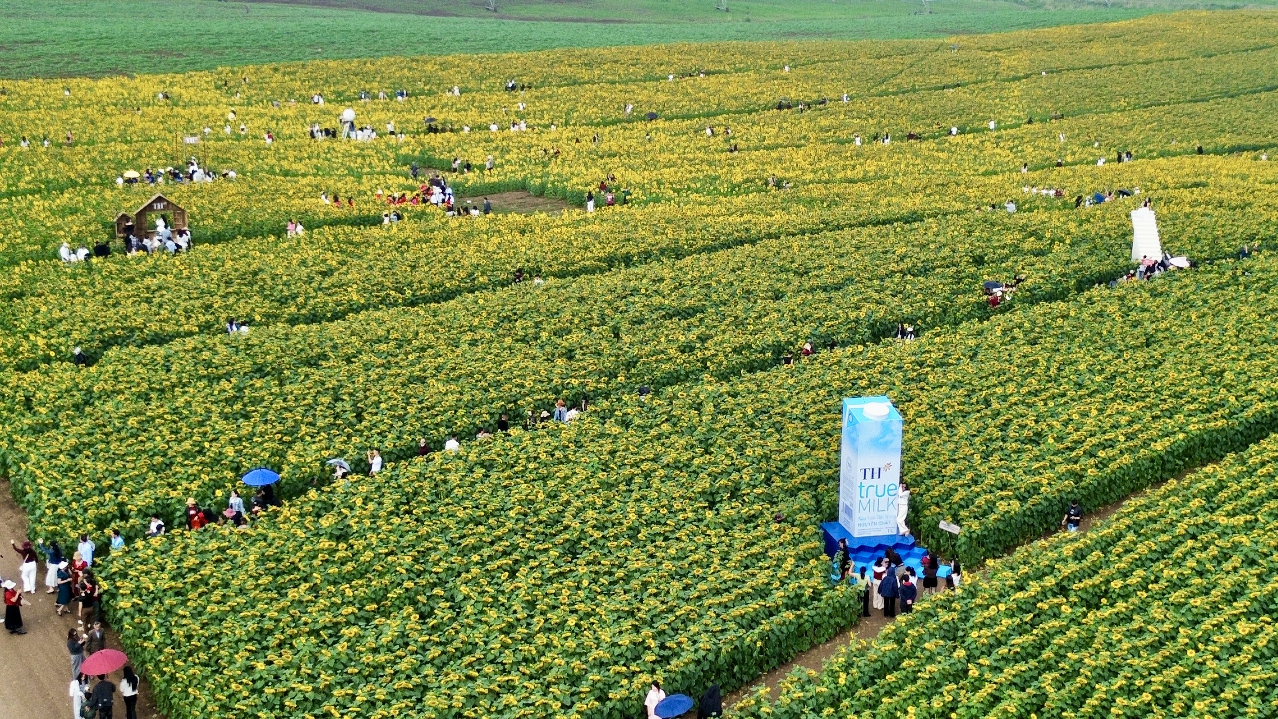 

Hầu hết các điểm check-in đều thu hút đông người, nhiều du khách phải xếp hàng chờ đến cả giờ để có lượt chụp ảnh  