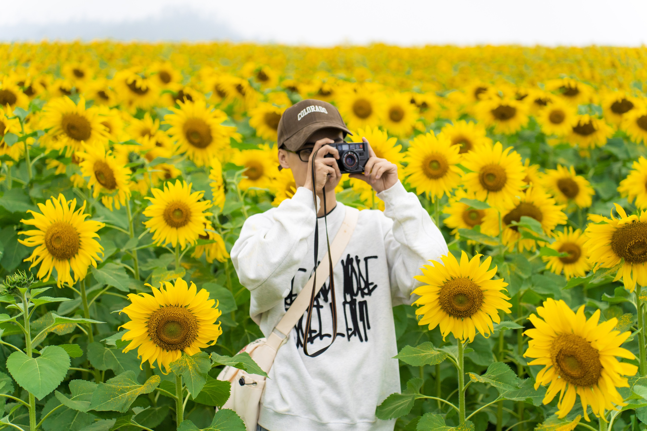 

Phong cho biết biết đến cánh đồng hoa qua mạng xã hội và bất ngờ khi tận mắt chứng kiến  