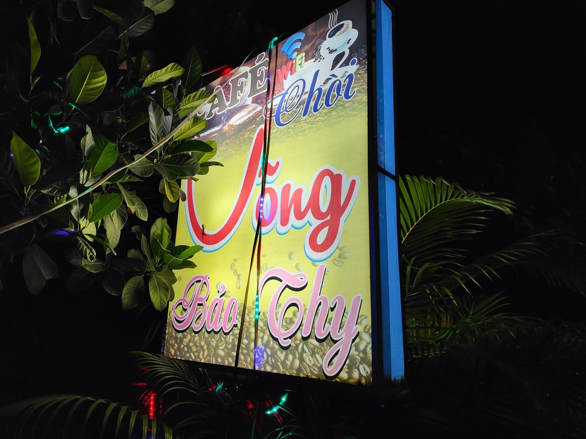 - Ảnh 1. - Ảnh 1.