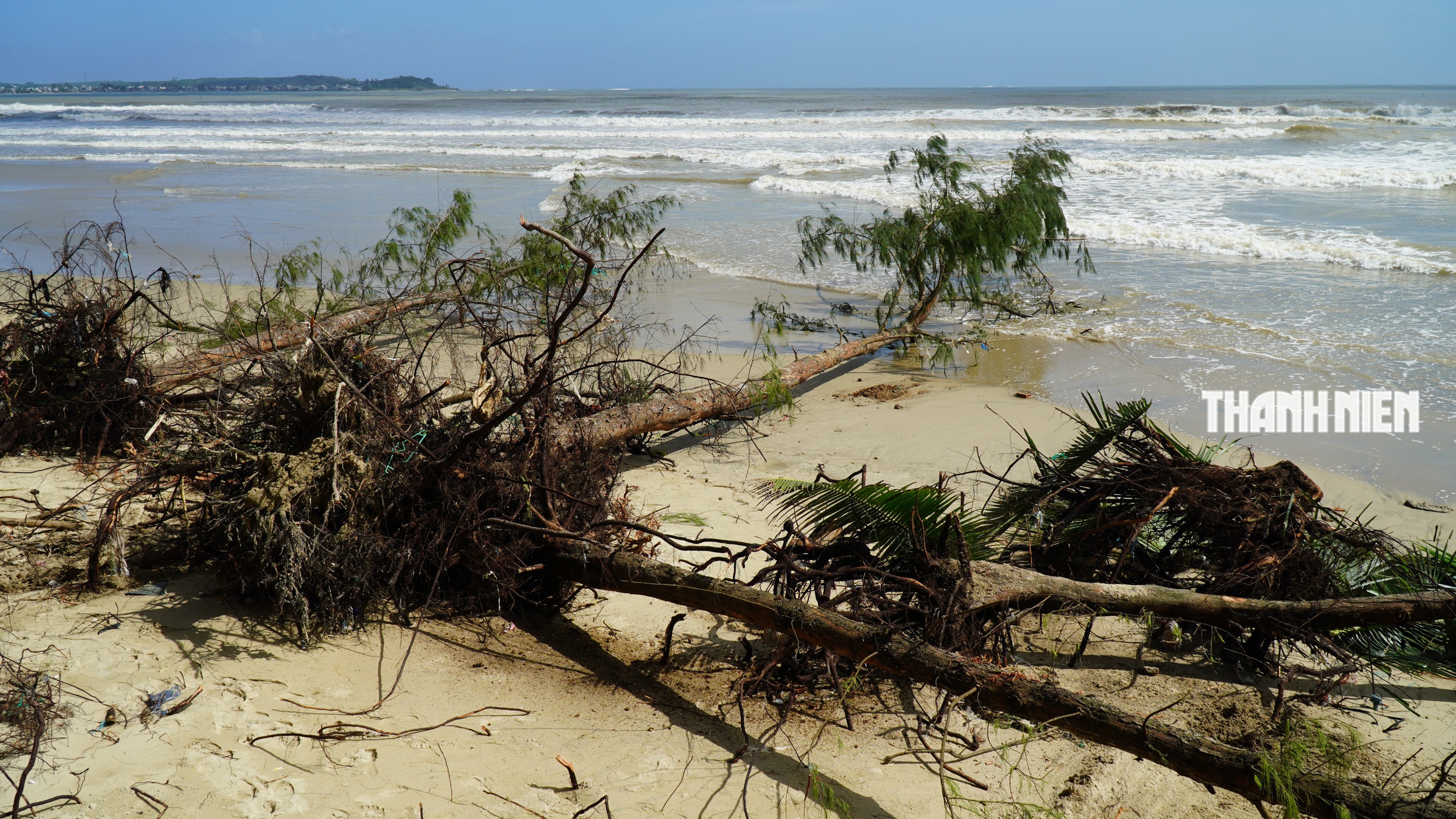 B&atilde;i biển đẹp nhất Quảng Ng&atilde;i tan hoang v&igrave; triều cường x&acirc;m thực - Ảnh 6.