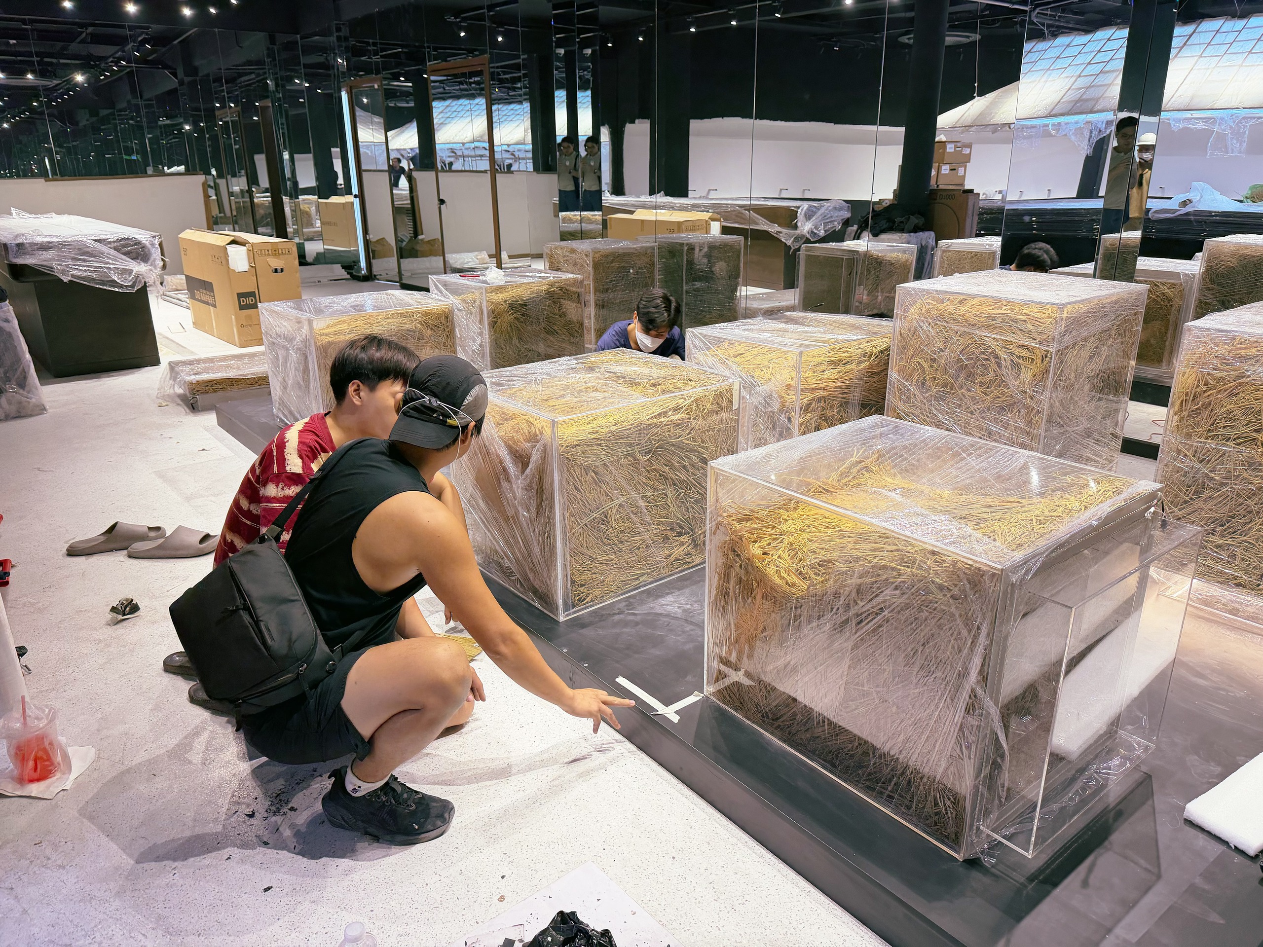 Có gì ở 'Bảo tàng' phở sắp ra mắt?- Ảnh 3.