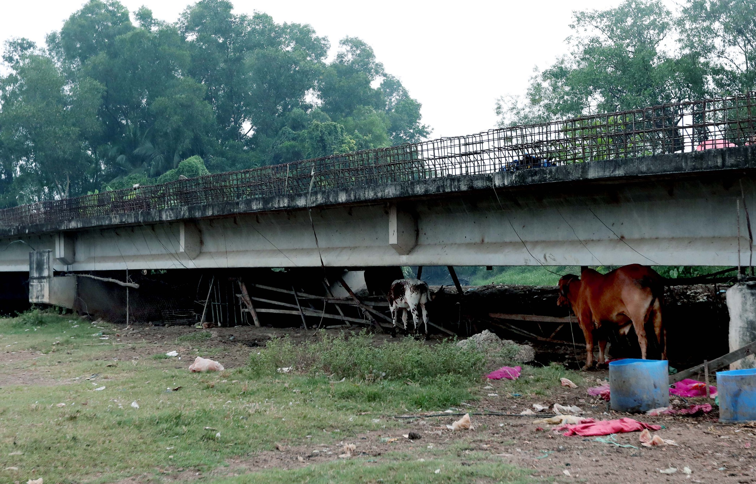 Vành đai 2 TP.HCM sắp khởi động lại sau nhiều năm "đắp chiếu" - Ảnh 3. Vành đai 2 TP.HCM sắp khởi động lại sau nhiều năm "đắp chiếu" - Ảnh 3.