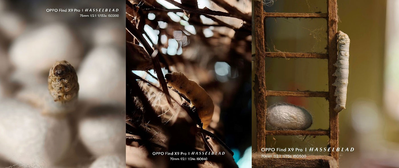 Từ camera 200MP Hasselblad đến Tele-Macro, mọi chi tiết đều thành tâm điểm với Find X9 Pro - Ảnh 4.