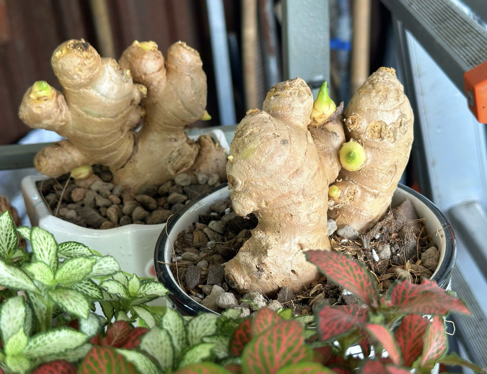 Nh&igrave;n lại 2025: T&igrave;m qu&aacute; khứ tr&ecirc;n Google Maps, HPDE th&igrave; ngon lu&ocirc;n&hellip; v&agrave; những 'hot trend' - Ảnh 4.