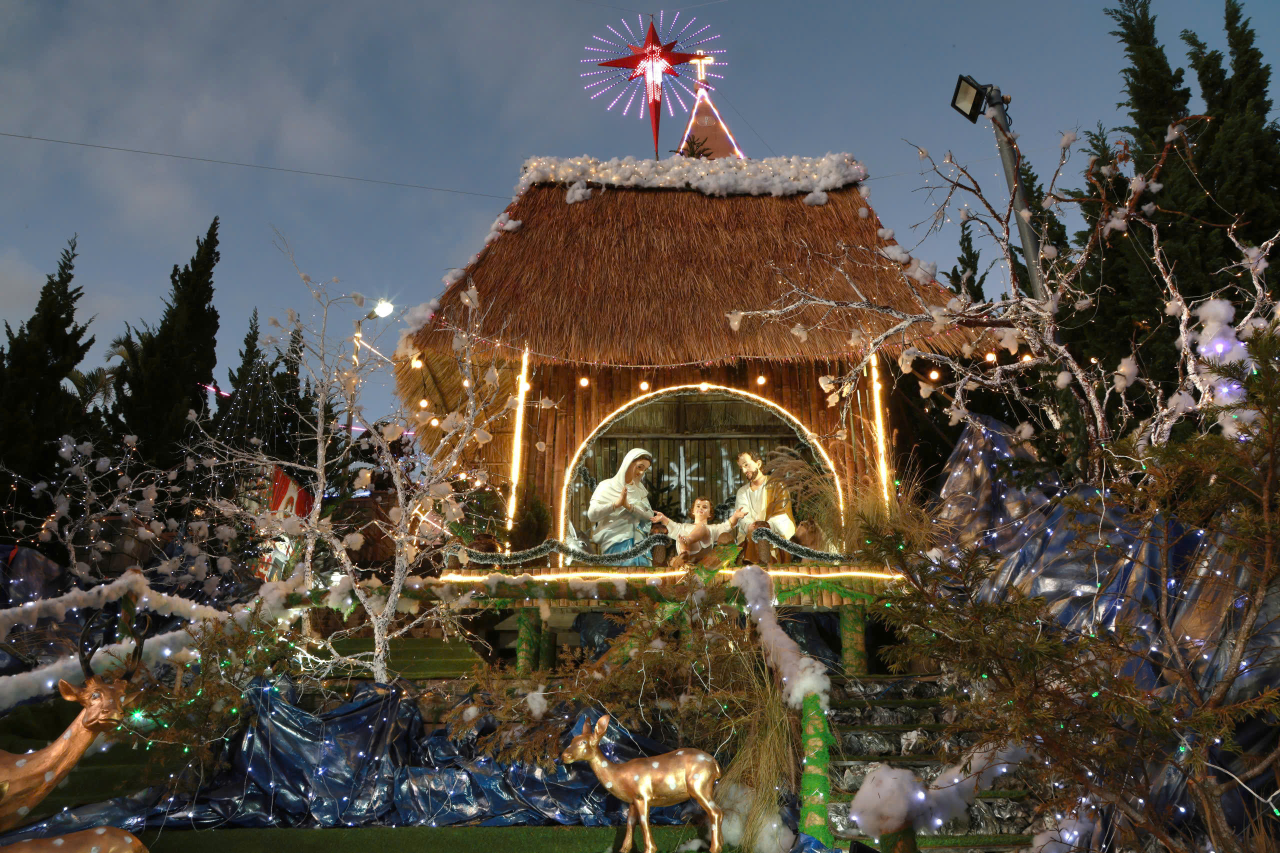 Kh&ocirc;ng gian Gi&aacute;ng sinh Đ&agrave; Lạt lung linh sắc m&agrave;u trong đ&ecirc;m mừng Ch&uacute;a ra đời - Ảnh 3.