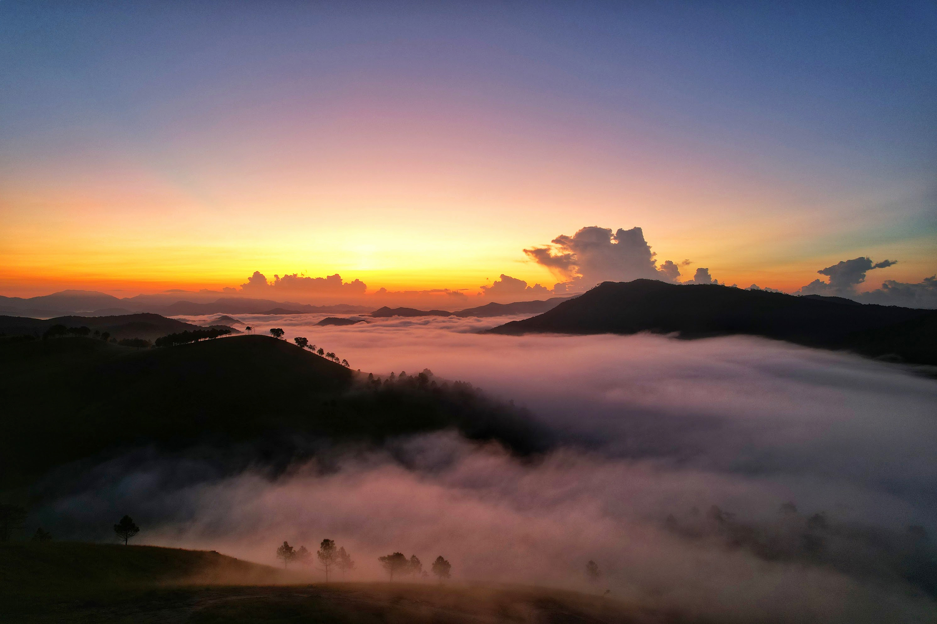 Thảo nguy&ecirc;n như ch&acirc;u &Acirc;u thu nhỏ ở Quảng Ninh - Ảnh 5.