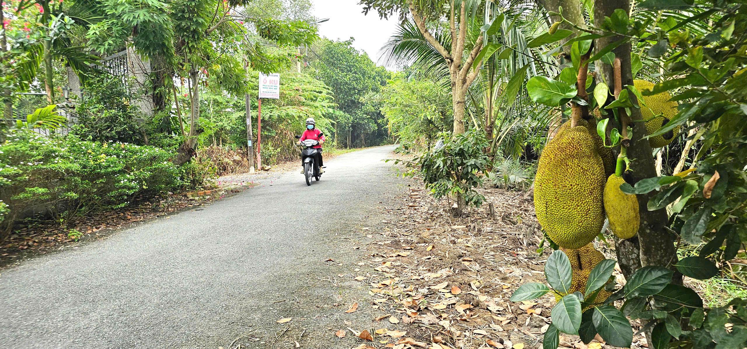 Tên đường độc lạ ở vùng ven TP. Hồ Chí Minh: Ổ Cu Kiến Vàng và ký ức khẩn hoang Chuyện về Ổ Cu Kiến Vàng: Cung đường lạ, đẹp như tranh ở vùng ven TP.HCM - Ảnh 7.