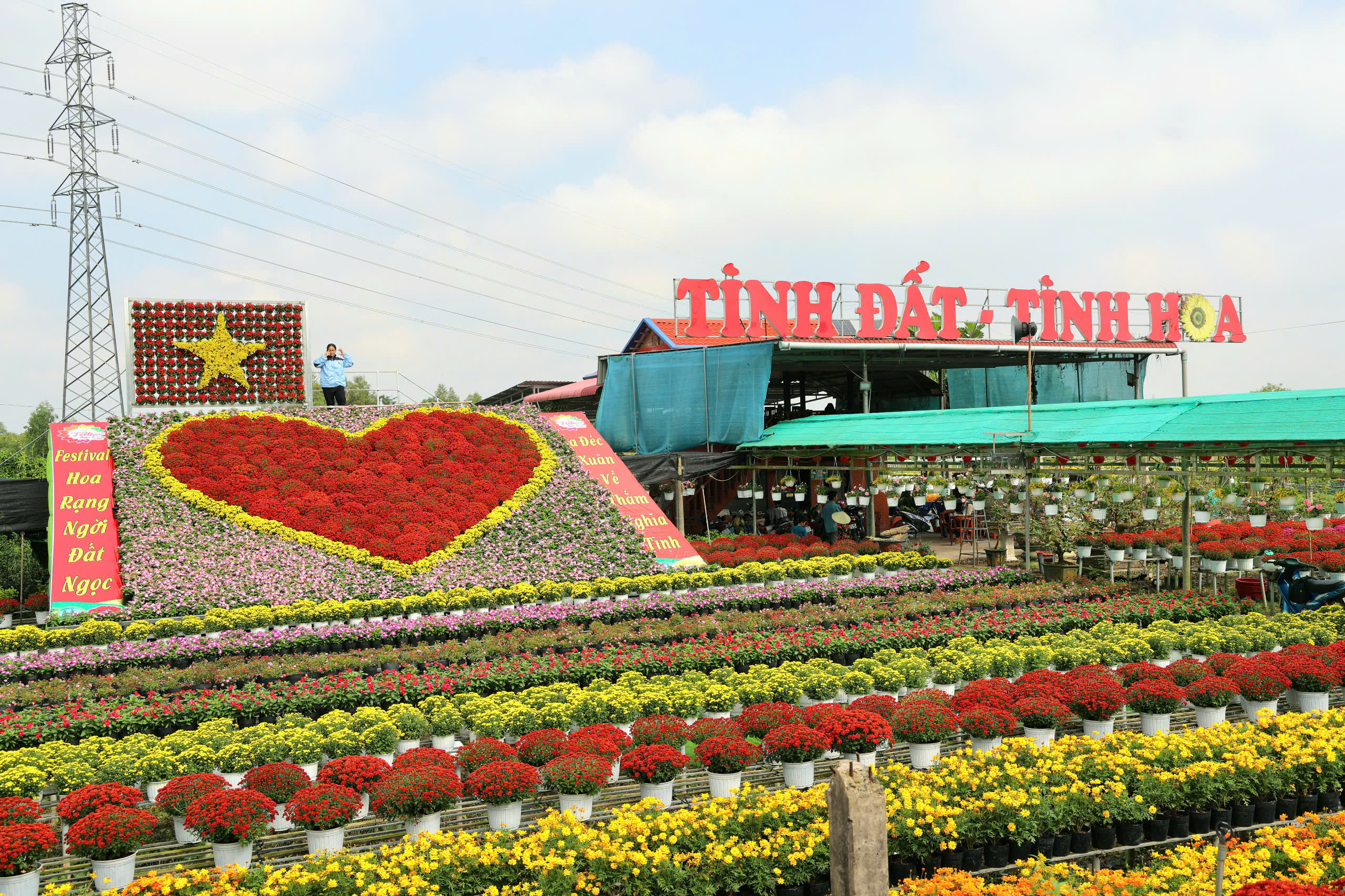'Tr&aacute;i tim l&agrave;ng hoa' g&acirc;y sốt ở Sa Đ&eacute;c- Ảnh 2.