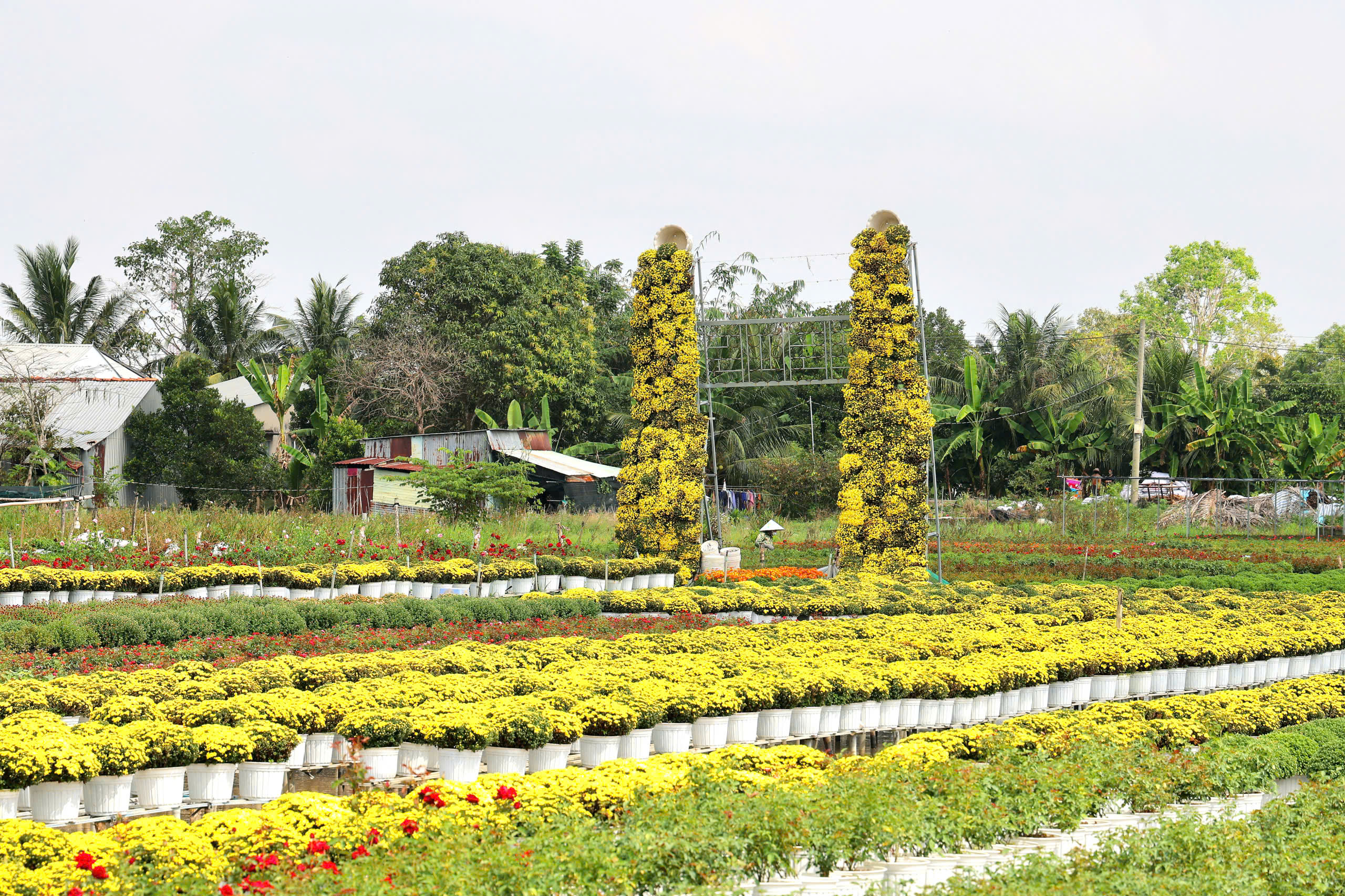 'Tr&aacute;i tim l&agrave;ng hoa' g&acirc;y sốt ở Sa Đ&eacute;c- Ảnh 6.