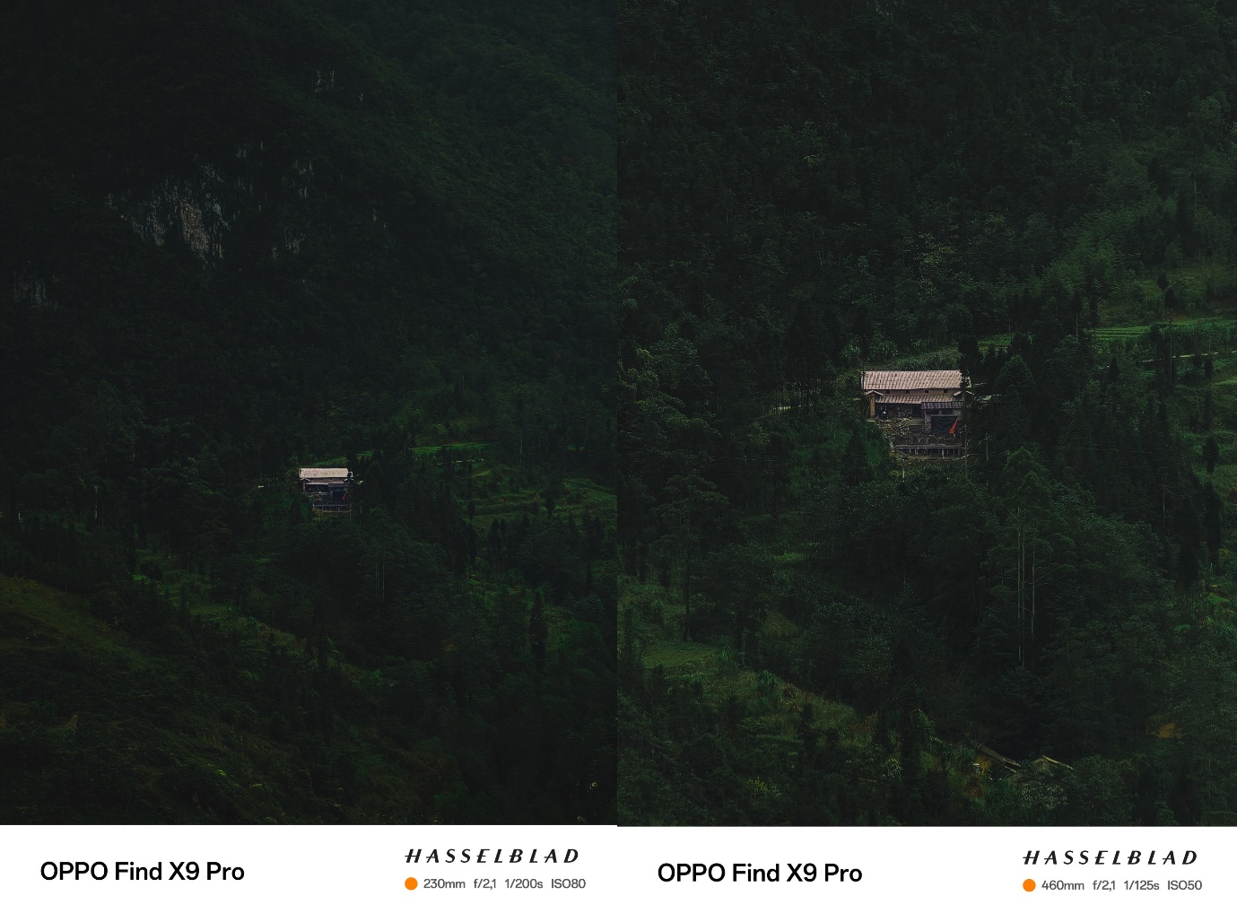 Zoom 120x ổn định, sắc nét trong mọi điều kiện ánh sáng cùng Find X9 Pro - Ảnh 4.