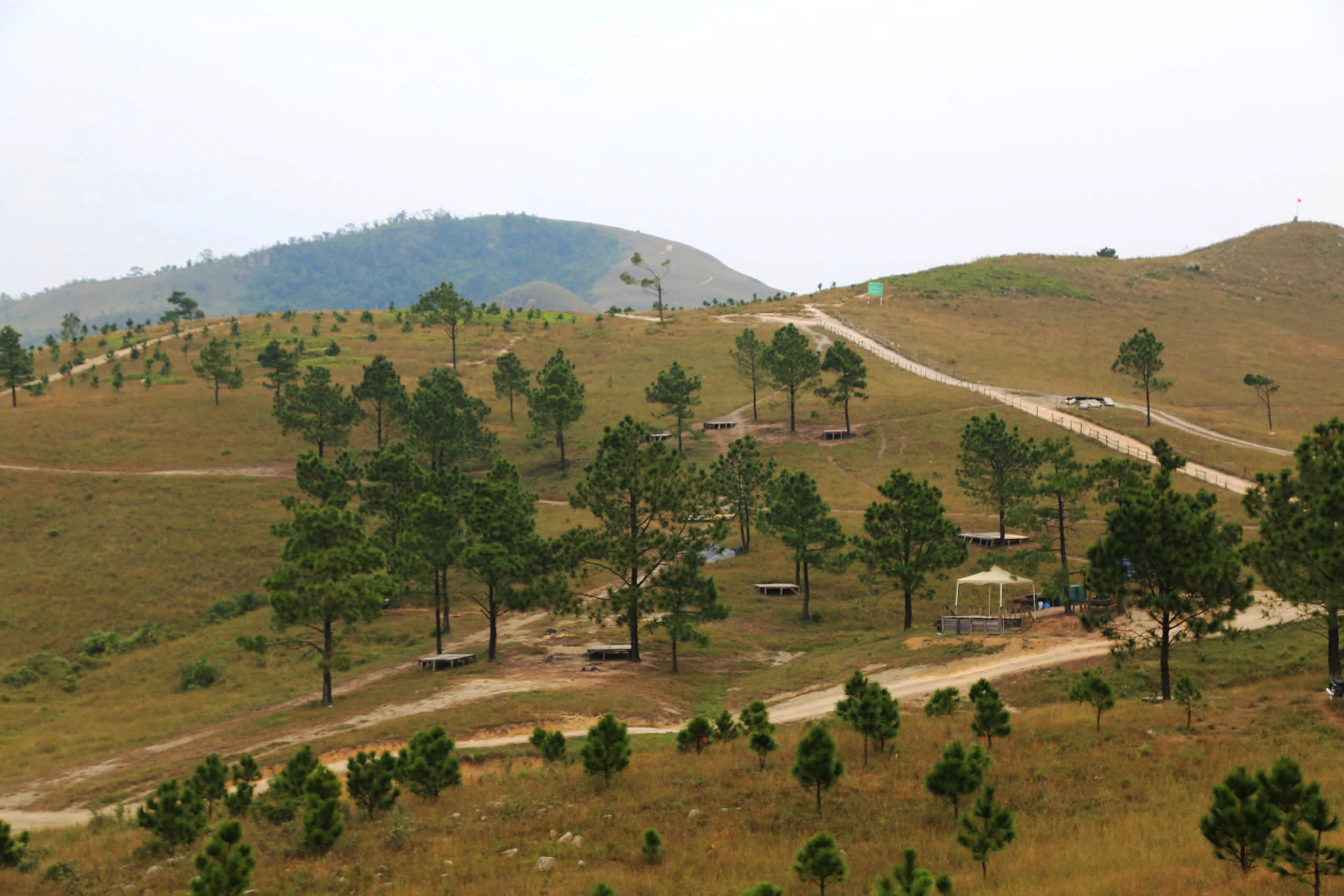 Thảo nguy&ecirc;n như ch&acirc;u &Acirc;u thu nhỏ ở Quảng Ninh - Ảnh 2.
