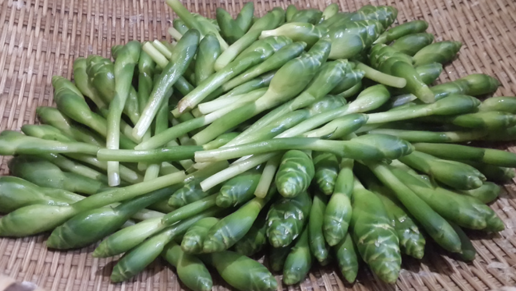 M&oacute;n ăn từ b&ocirc;ng gừng đang 'hot trend': Nhiều người lần đầu ăn 'qu&aacute; bất ngờ' - Ảnh 1.