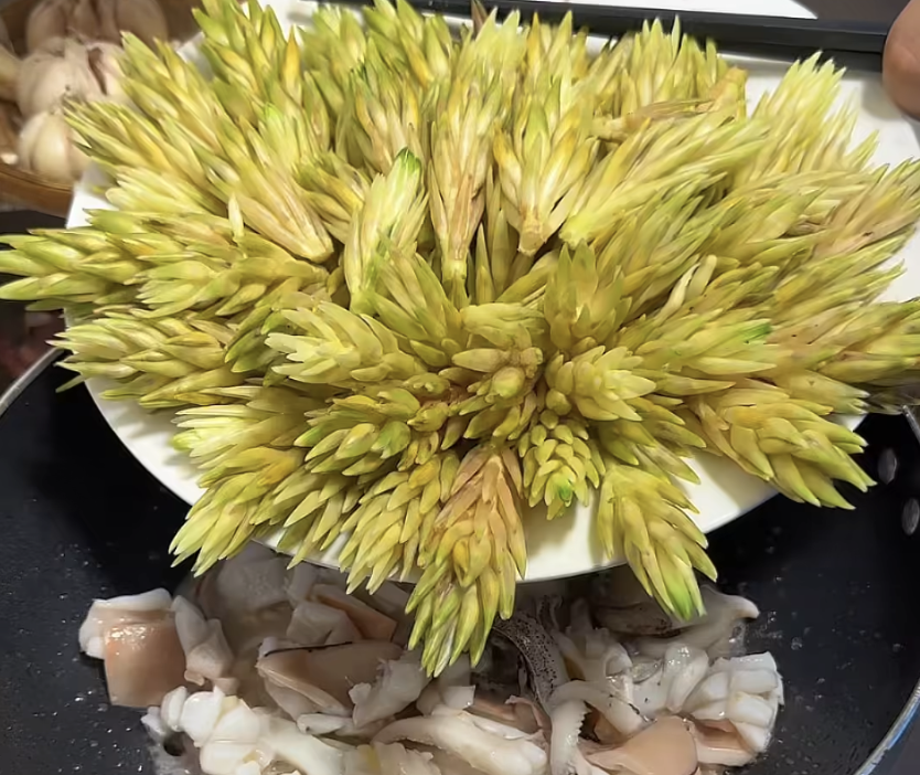 M&oacute;n ăn từ b&ocirc;ng gừng đang 'hot trend': Nhiều người lần đầu ăn 'qu&aacute; bất ngờ' - Ảnh 2.