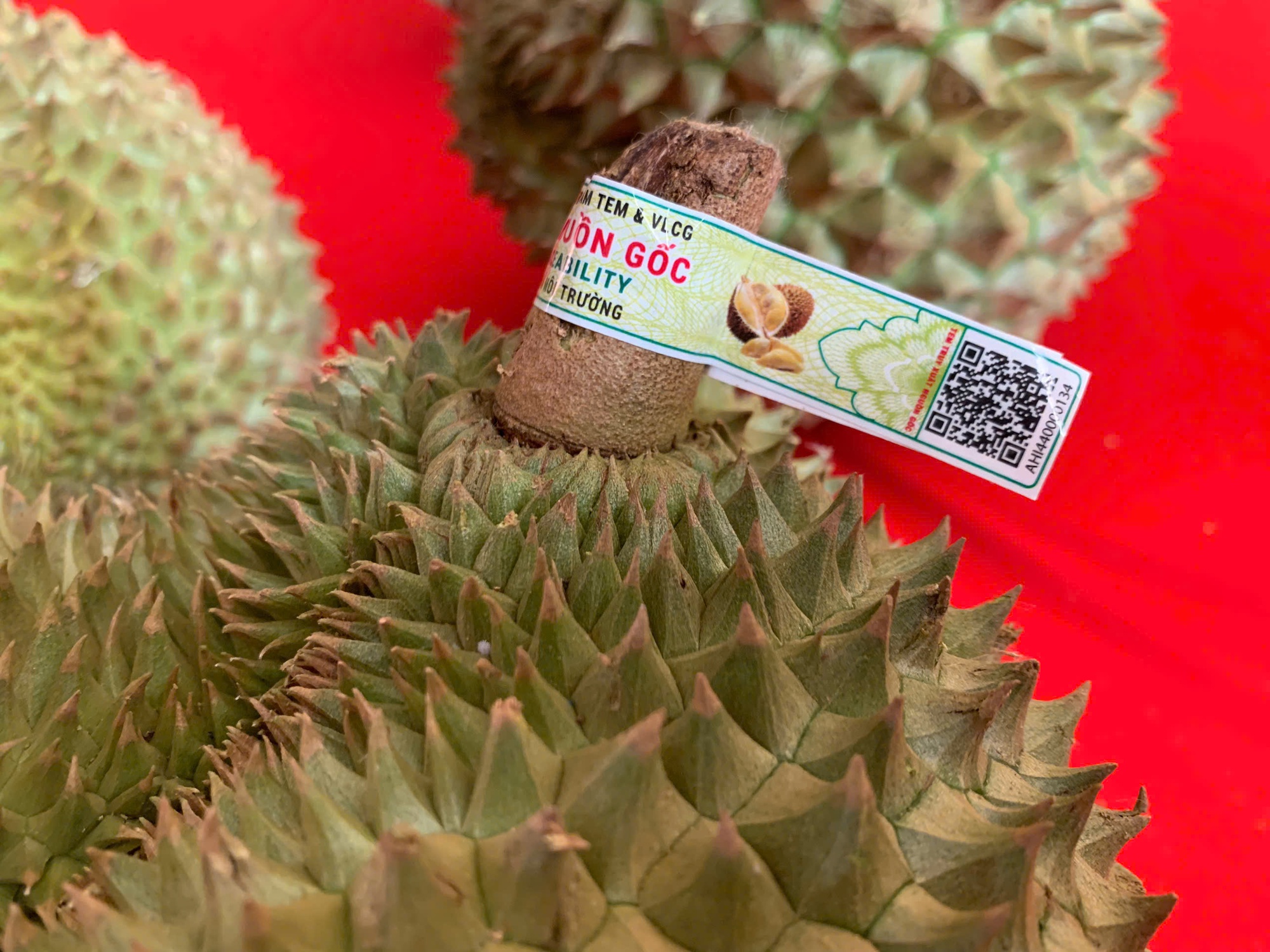 Th&iacute; điểm 'căn cước số' truy xuất nguồn gốc tr&ecirc;n tr&aacute;i sầu ri&ecirc;ng - Ảnh 1.