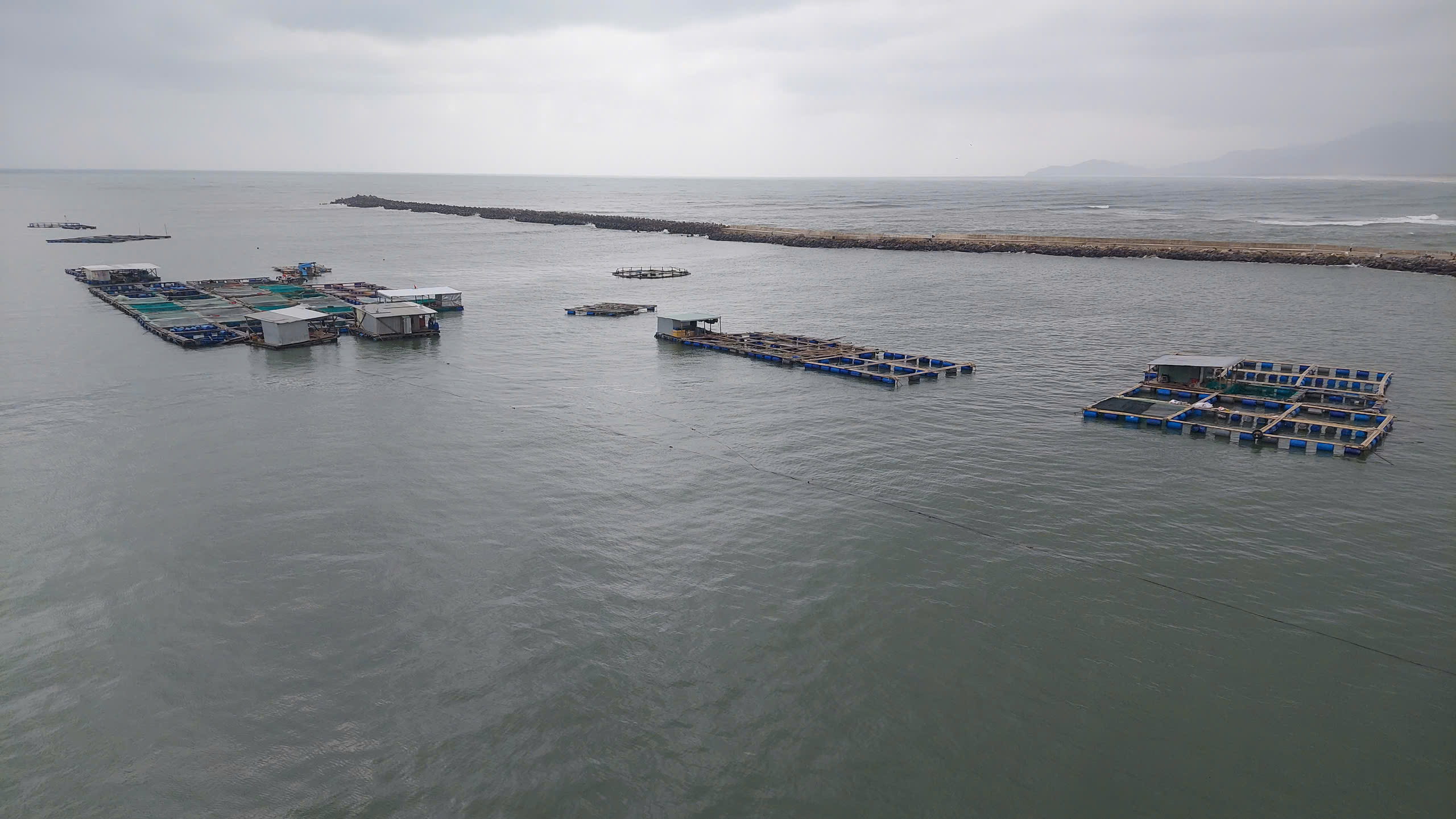 Người dân xin tiếp tục nuôi trồng thủy sản trái phép - Ảnh 1.