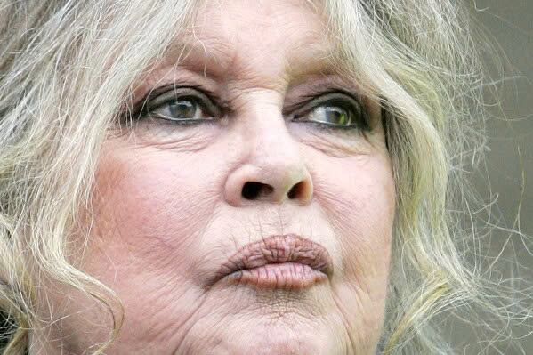 Huyền thoại điện ảnh Pháp Brigitte Bardot qua đời - Ảnh 3.